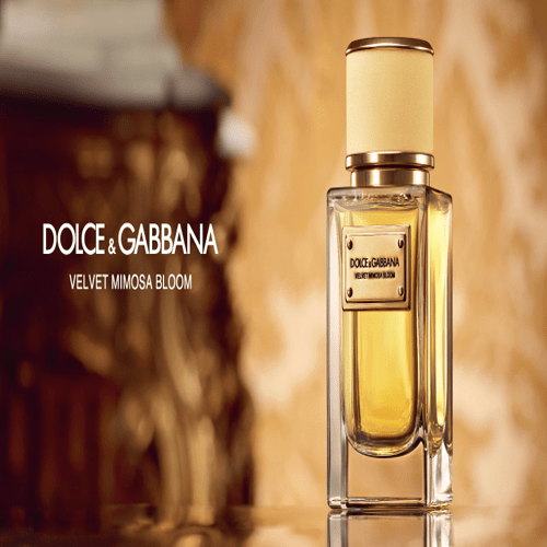 Dolce & Gabbana Velvet Mimosa Bloom For Women - Eau de Parfum | Niceone