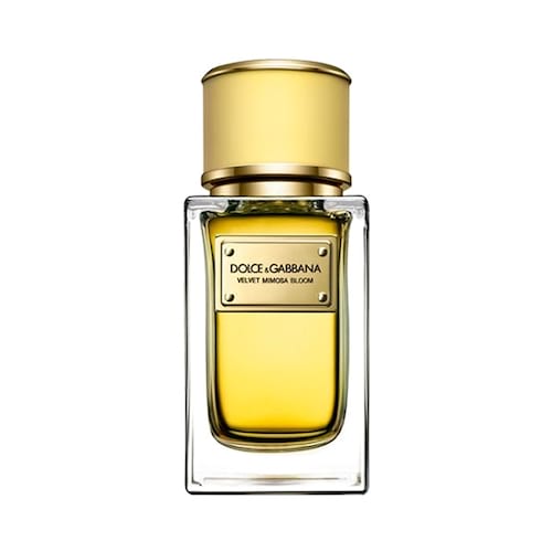 48028433_DolceGabbana-Velvet-Mimosa-Bloom-For-Women---Eau-de-Parfum-150ML-1-500x500