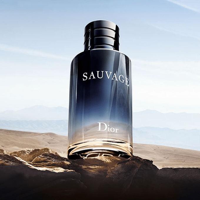 Buy Christian Dior Sauvage EDP 100ml Perfume for Men Online in Nigeria   The Scents Store