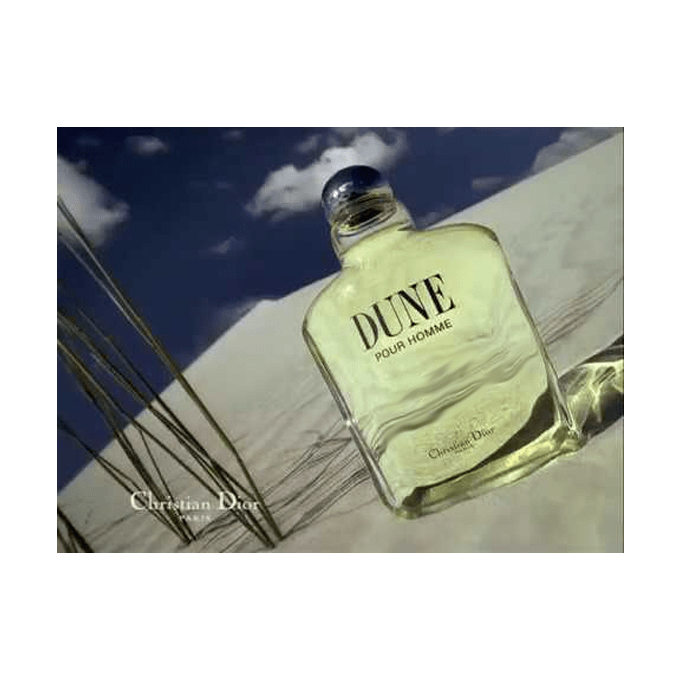 CHRISTIAN DIOR DUNE POUR HOMME GIANT FACTICE EDT PERFUME BOTTLE FOR DISPLAY   eBay