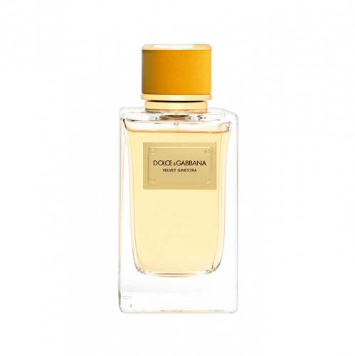 

عطر فلفت جينيسترا من دولتشي اند جابانا للنساء - او دي برفيوم