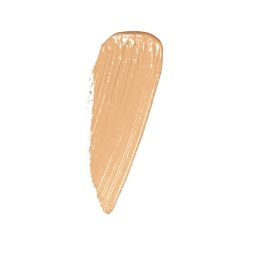 gallery-thumb-1
