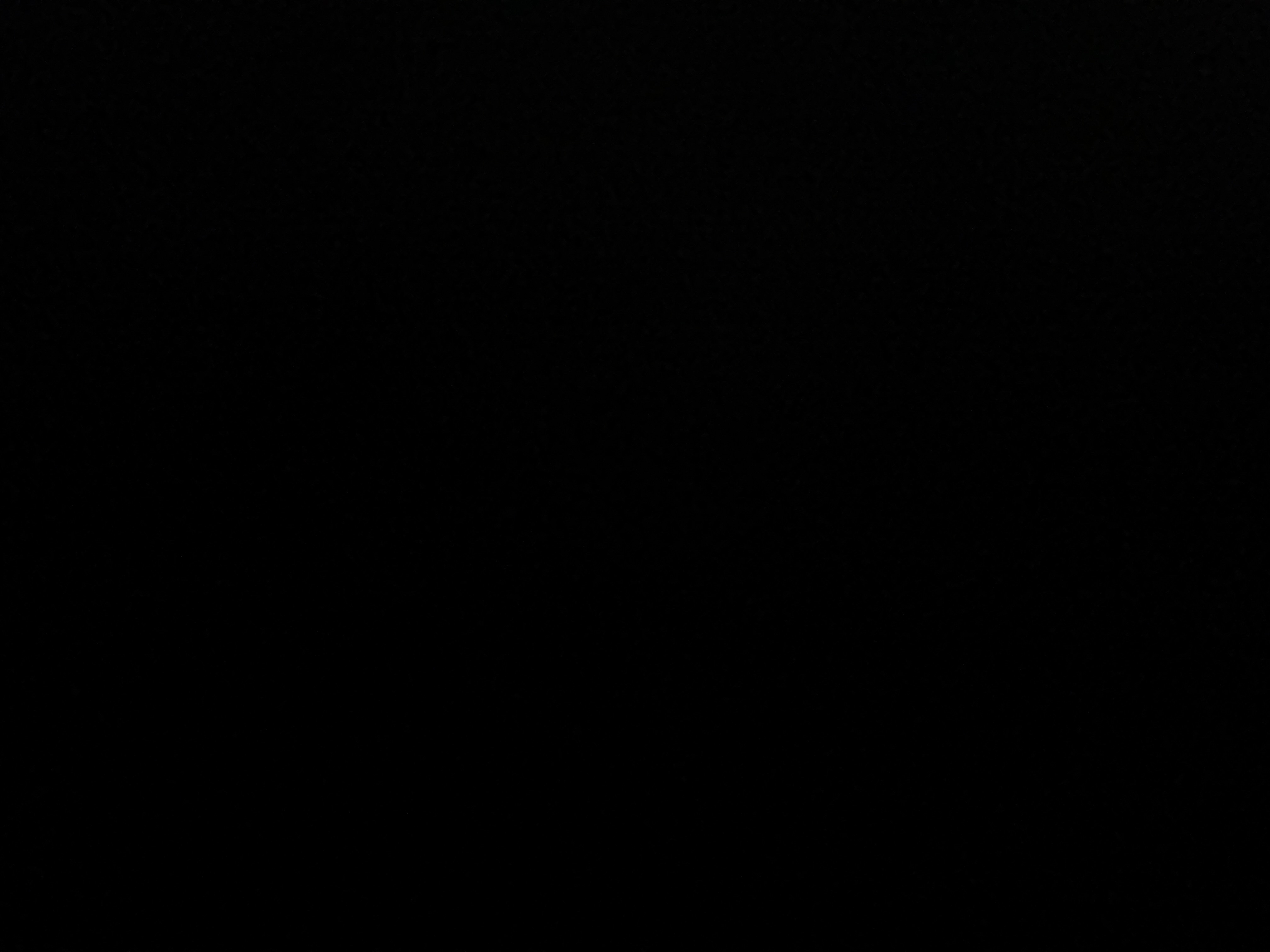 10898239_--_-500x500