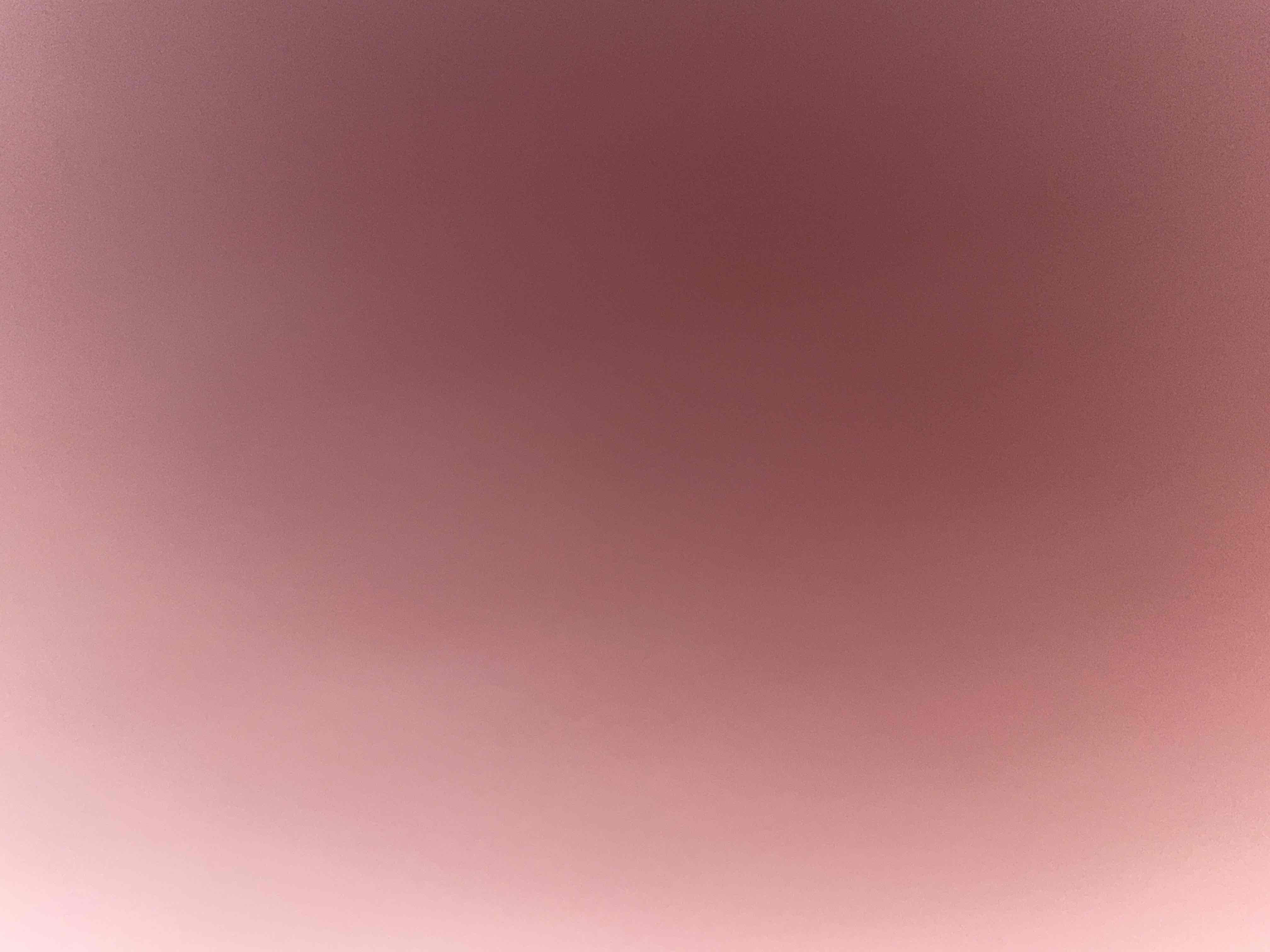 11363938_--_-500x500