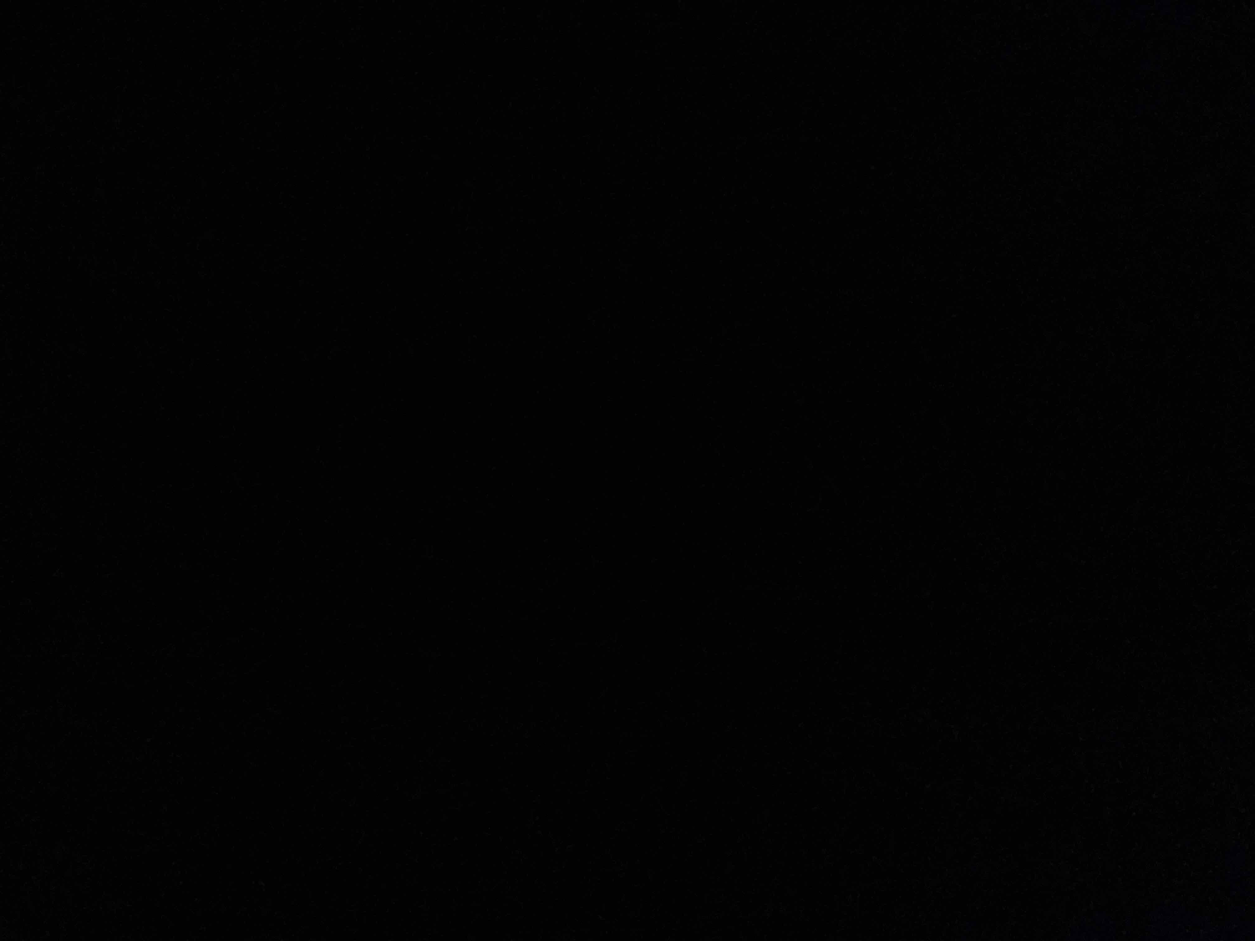 11695540_2024-04-30_092638-500x500