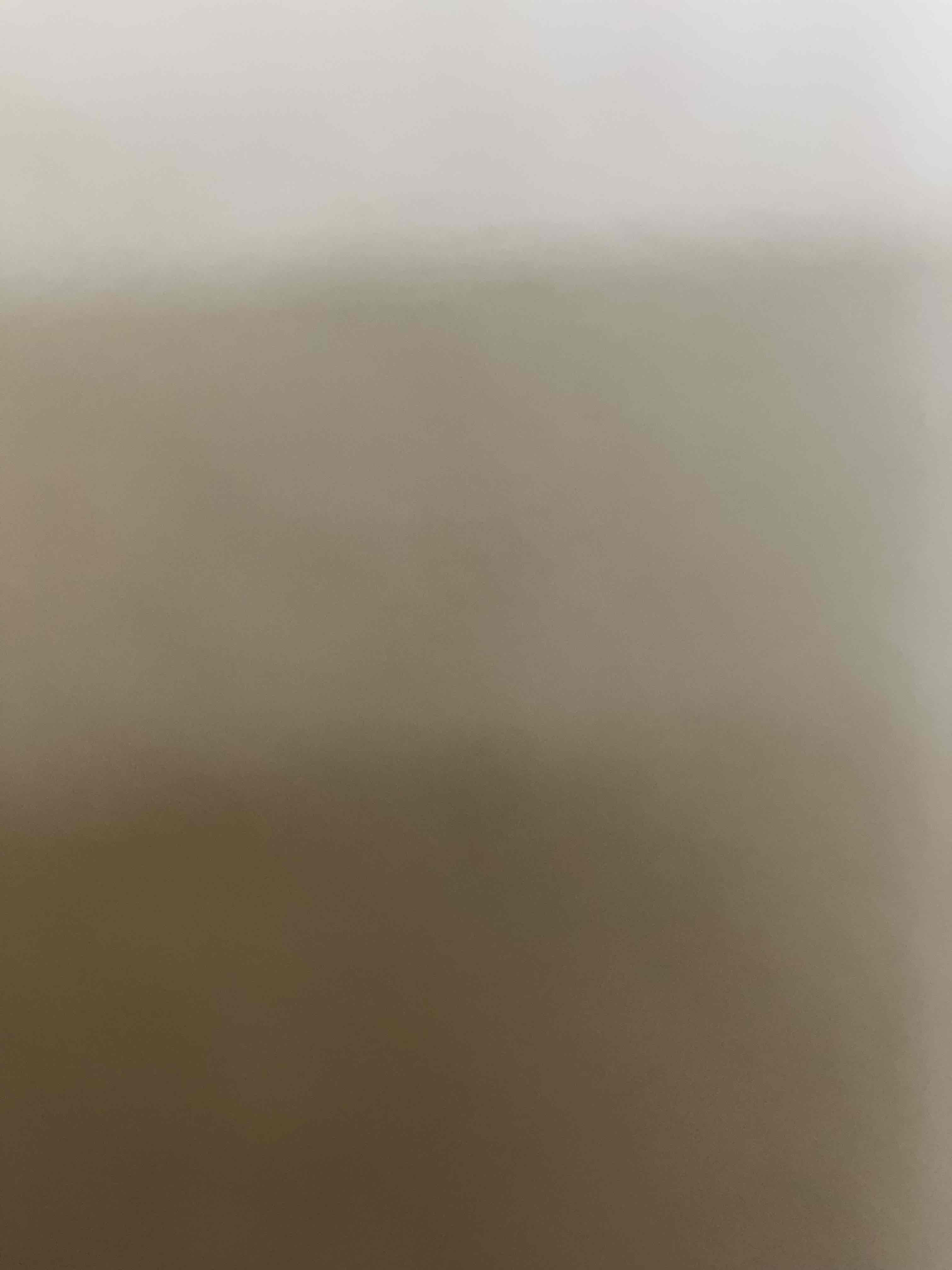 11731000_2025-11-20_052718-500x500