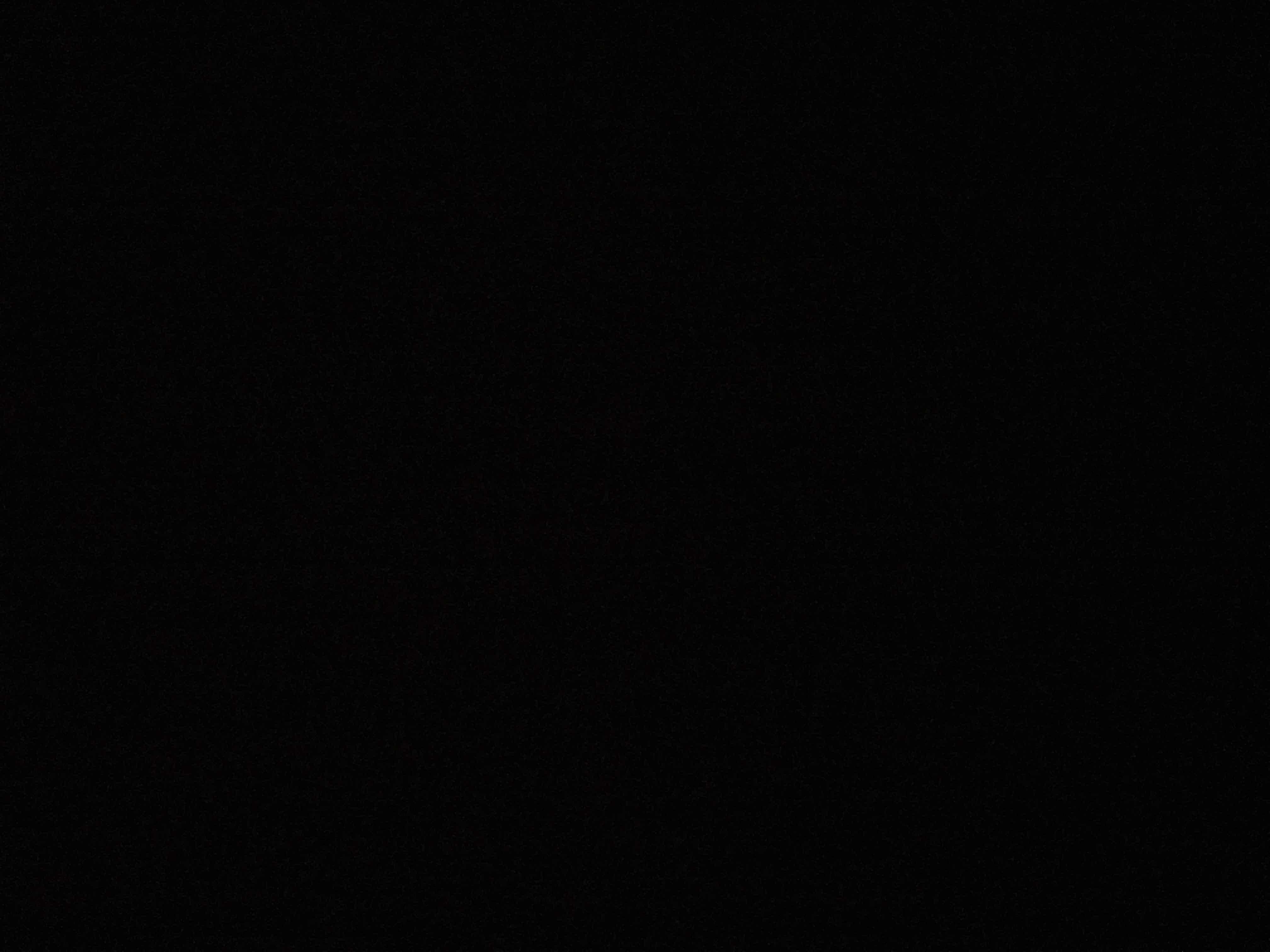 12342524_--_-500x500