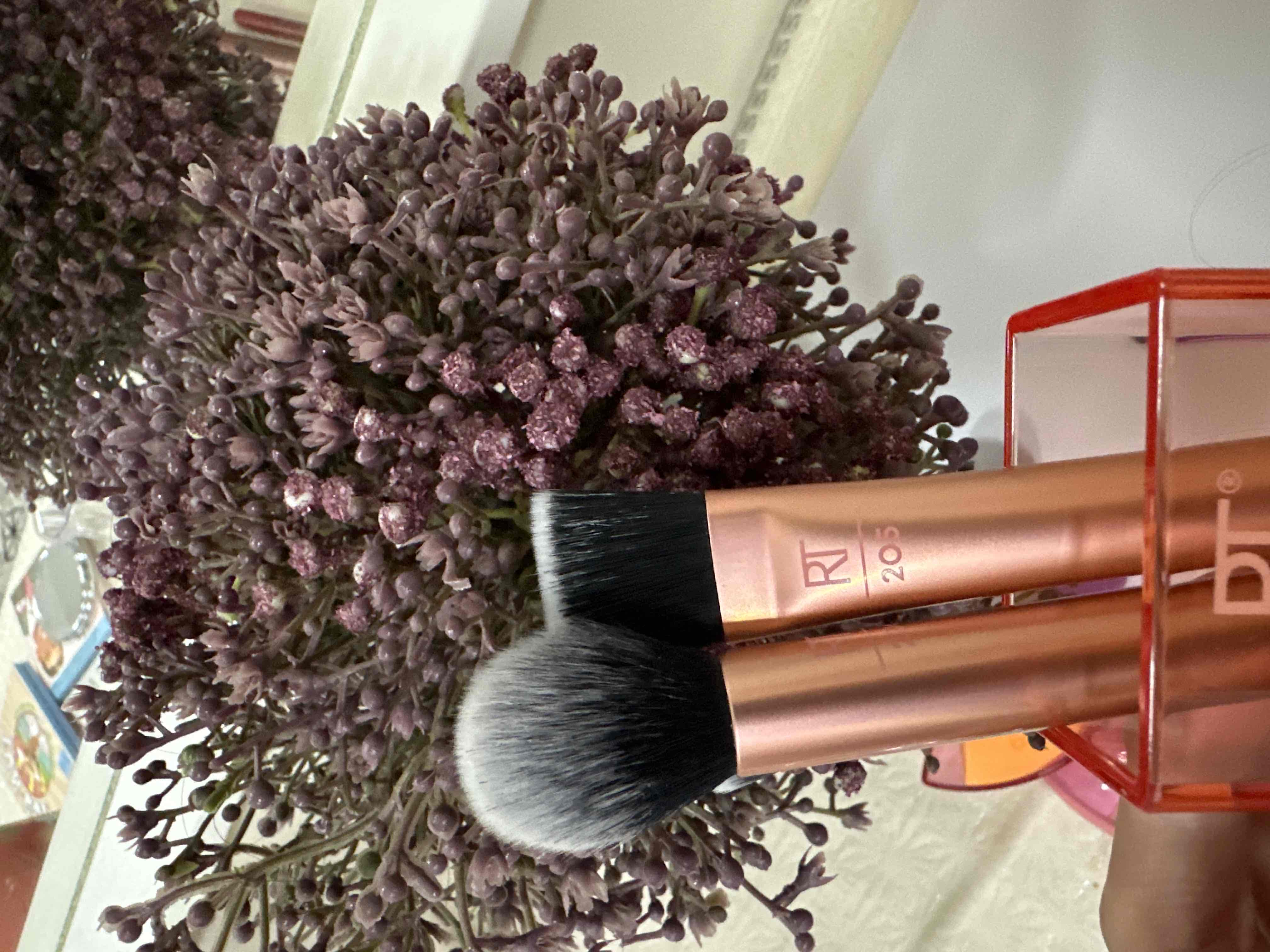 14876470_2024-11-14_062702-500x500