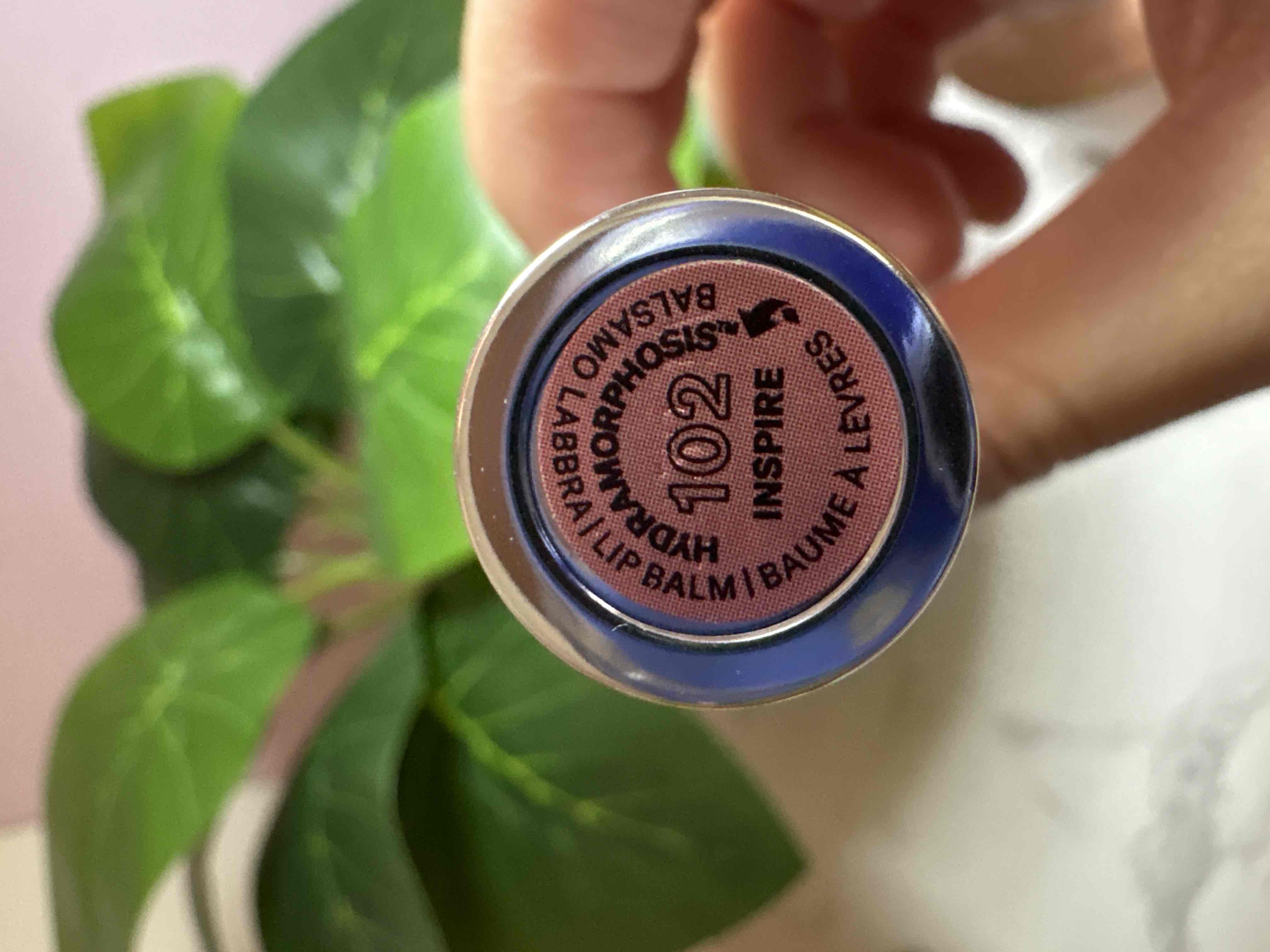 16137929_--_-500x500