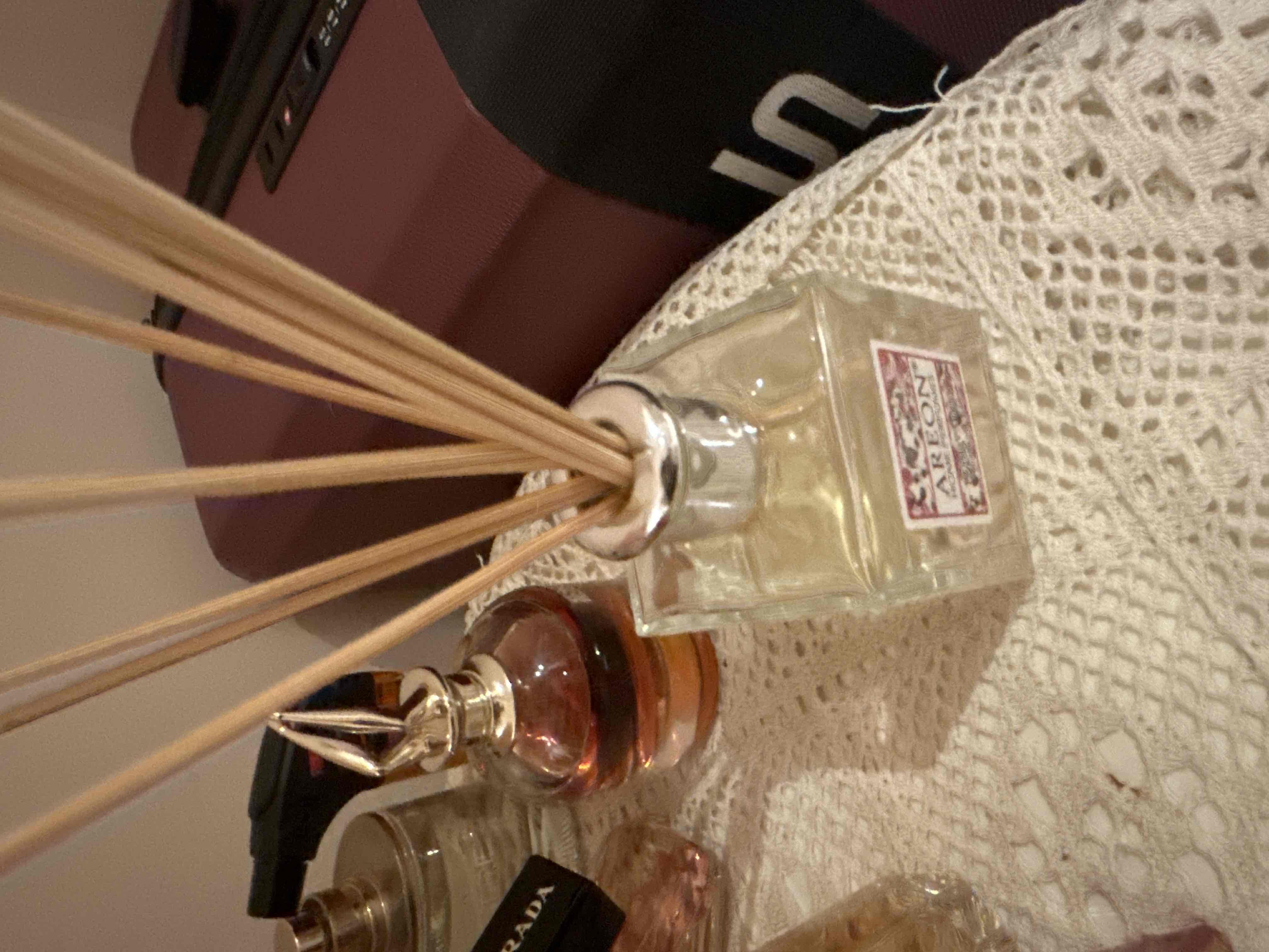 19241598_--_-500x500