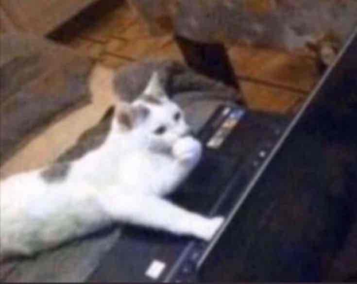 20211131_--_-500x500