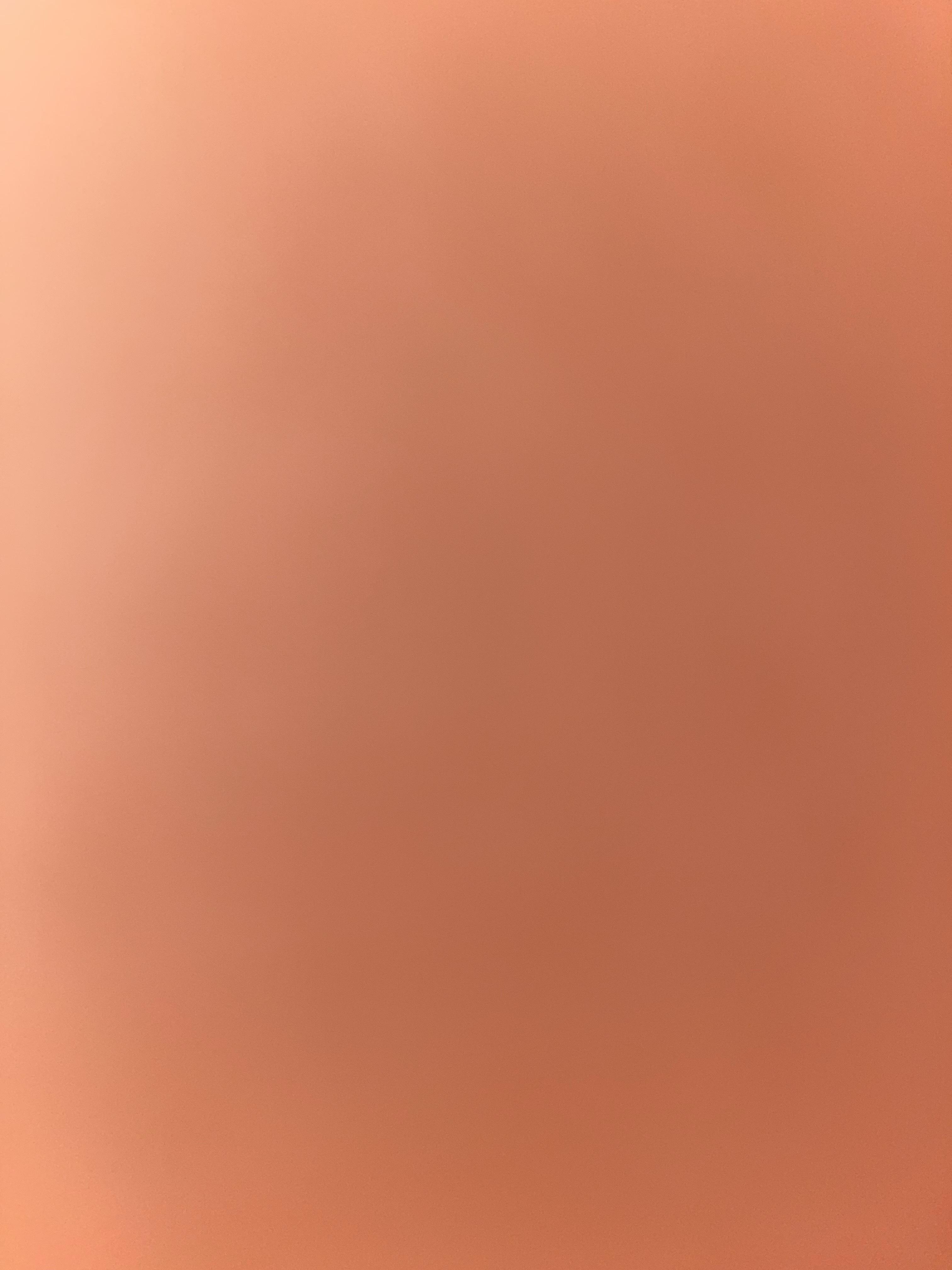 21387533_--_-500x500