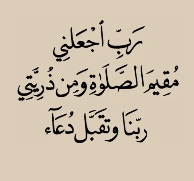 25288782_--_-500x500