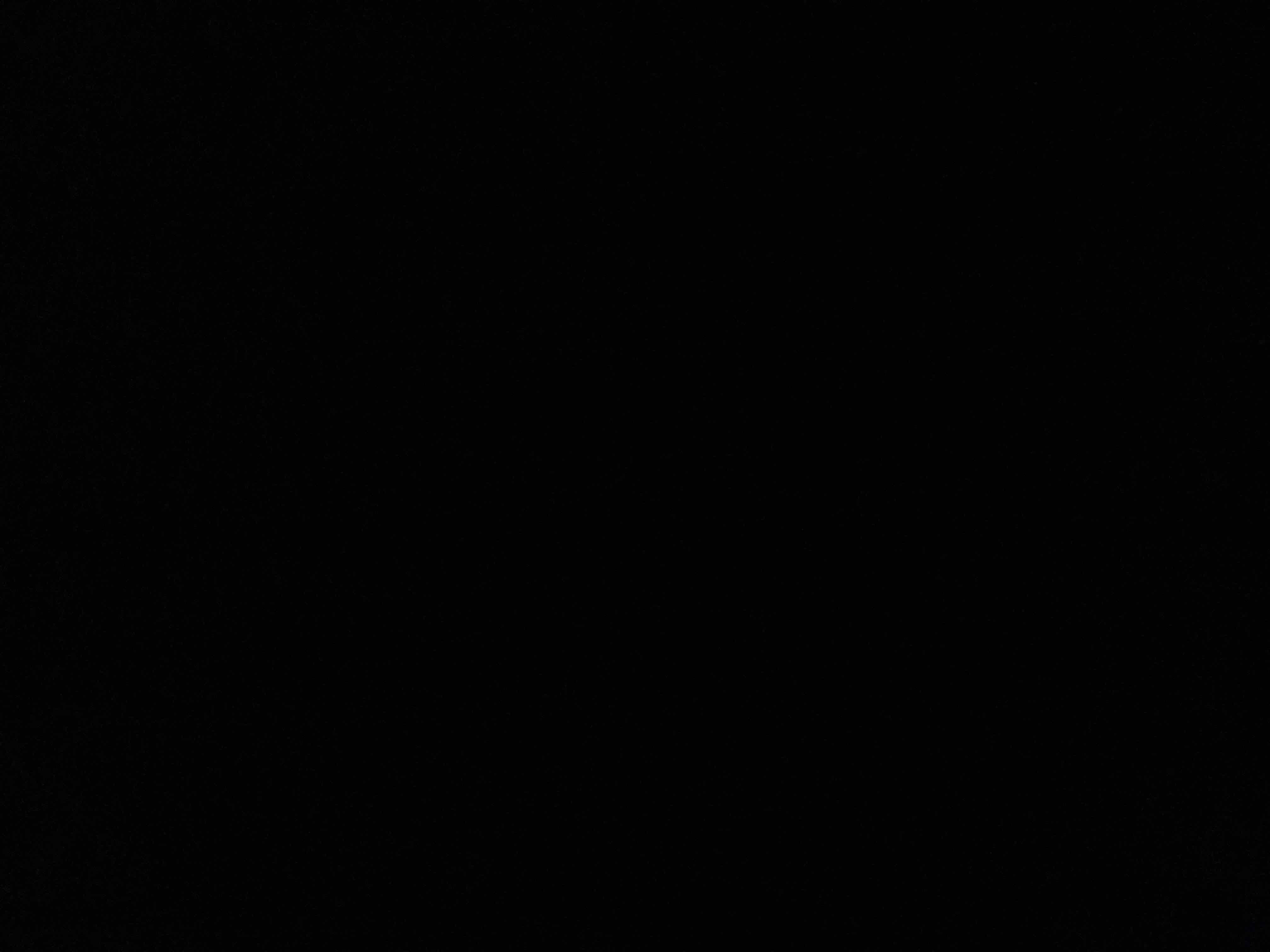 26242288_2024-03-31_060814-500x500