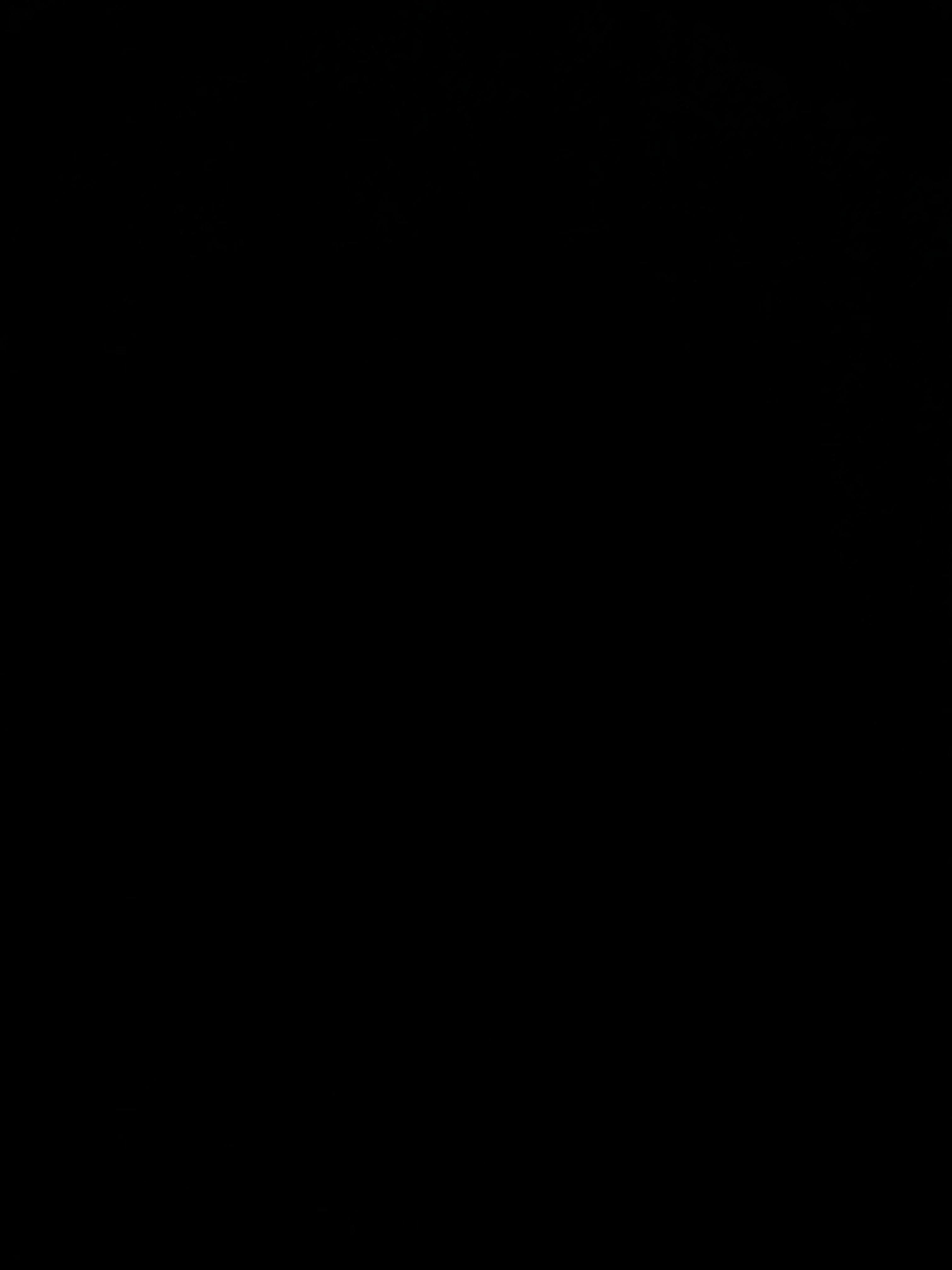 33065276_2024-07-17_104743-500x500