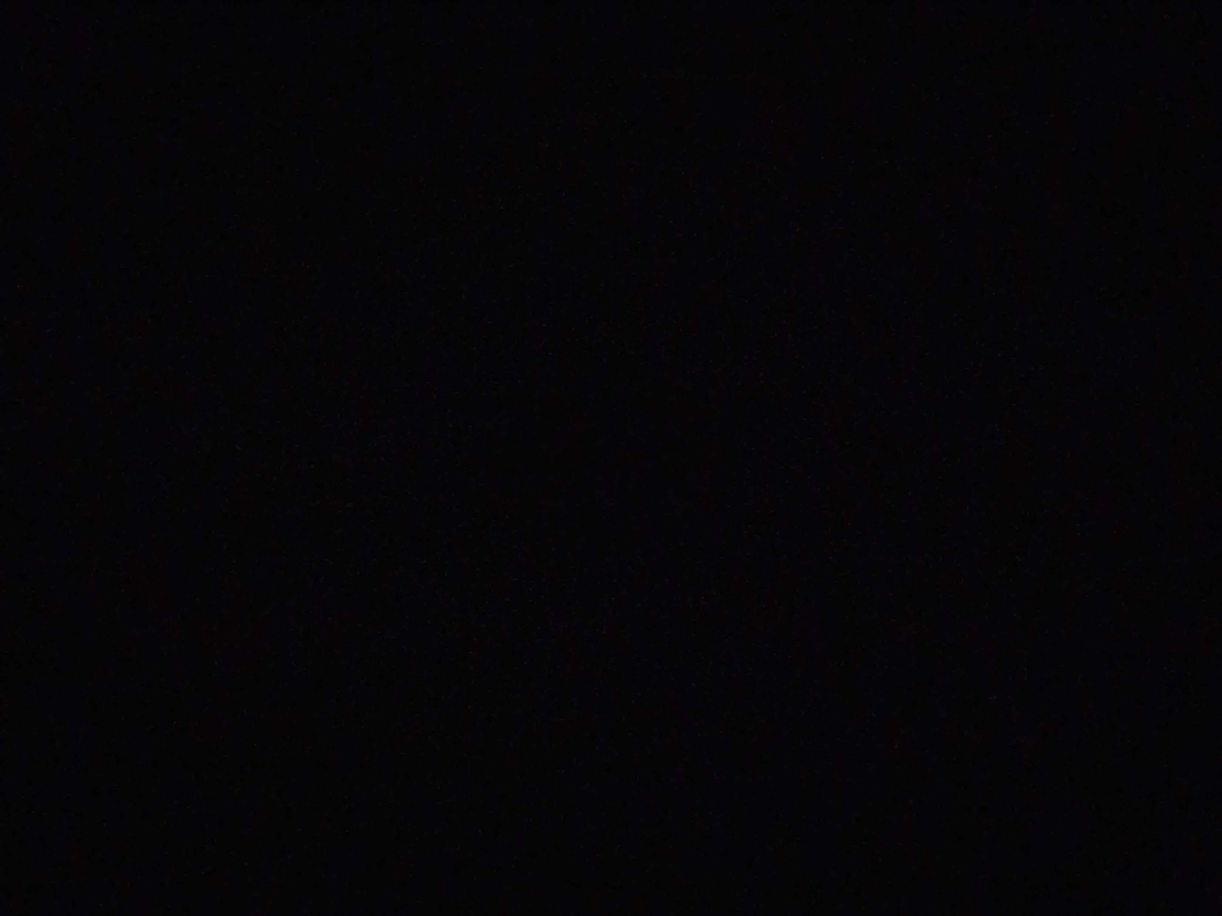 3483883_2024-08-07_063141-500x500