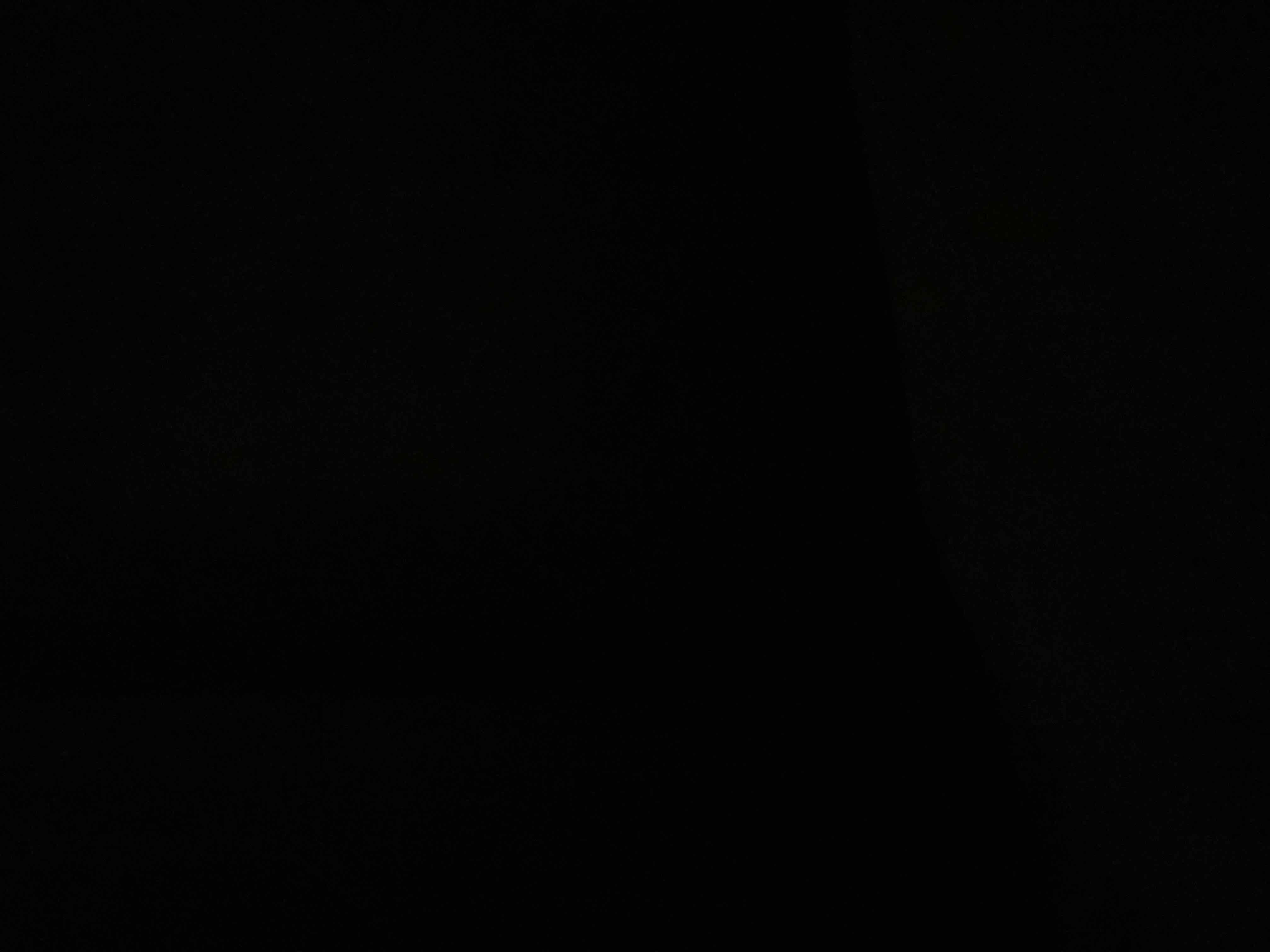 35472336_2025-09-15_014615-500x500