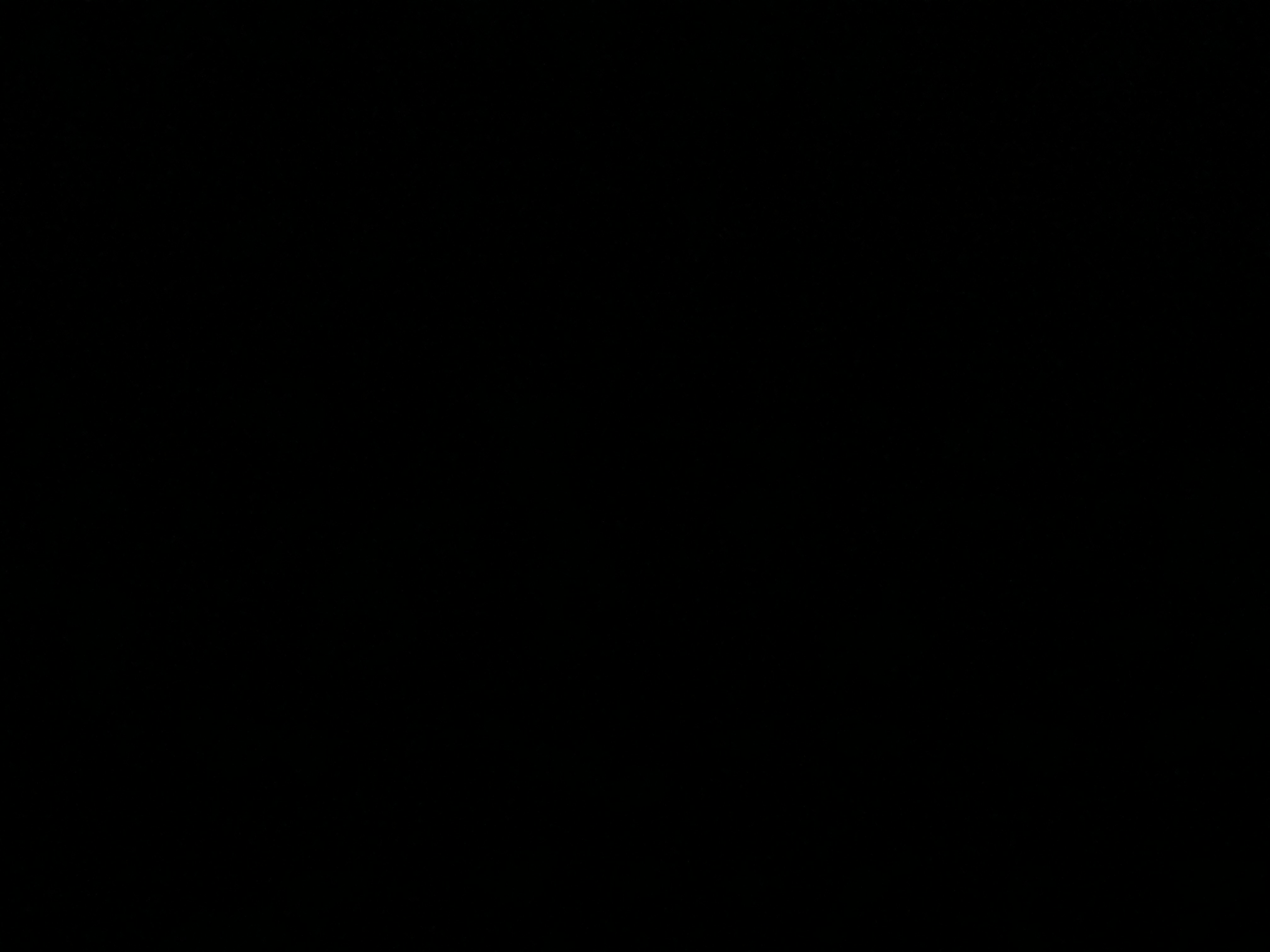 40340814_2025-04-13_121925-500x500