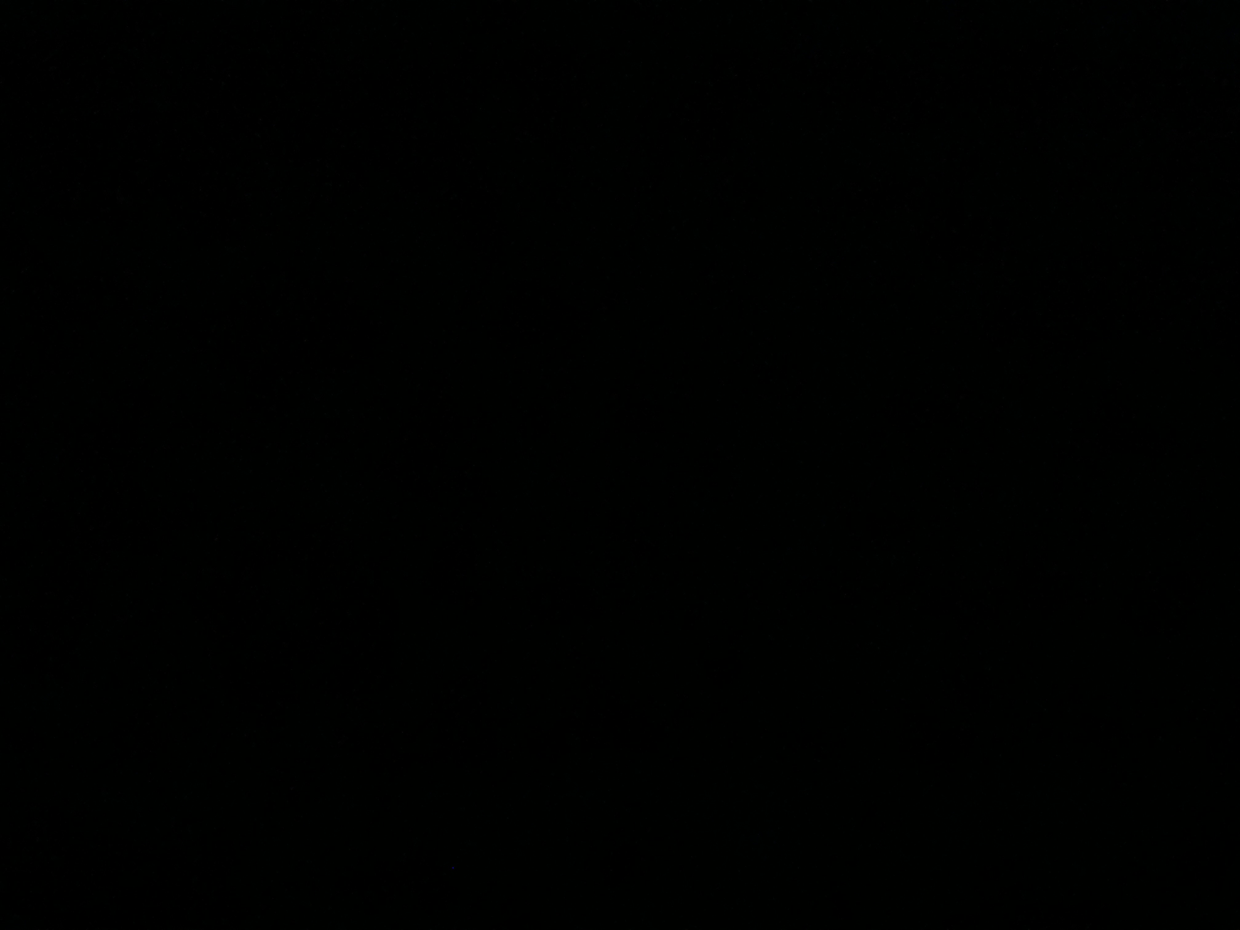 40874654_--_-500x500