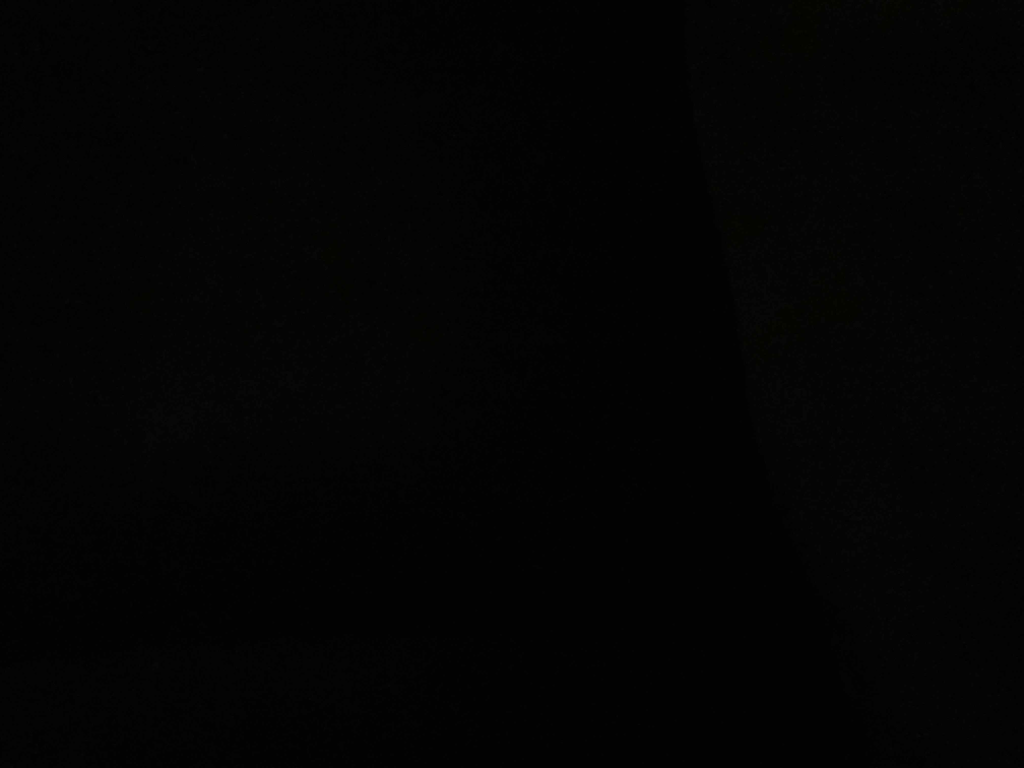 42399147_2025-09-15_014521-500x500