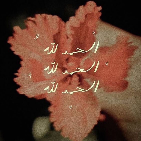 42858907_--_-500x500