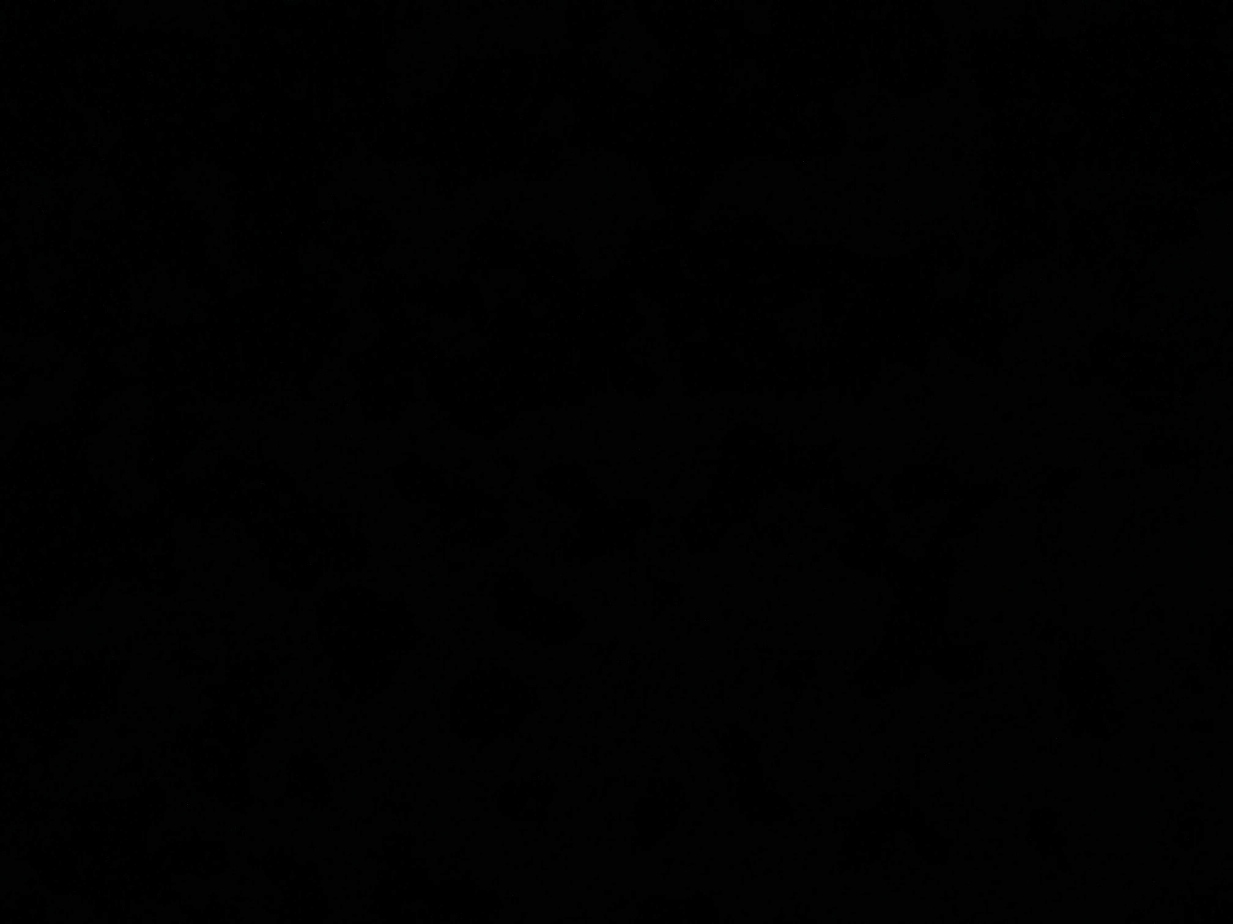 49729564_2024-11-23_014320-500x500