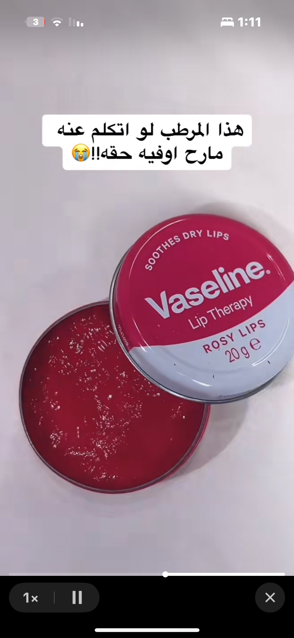 50141859_2026-02-13_011219-500x500