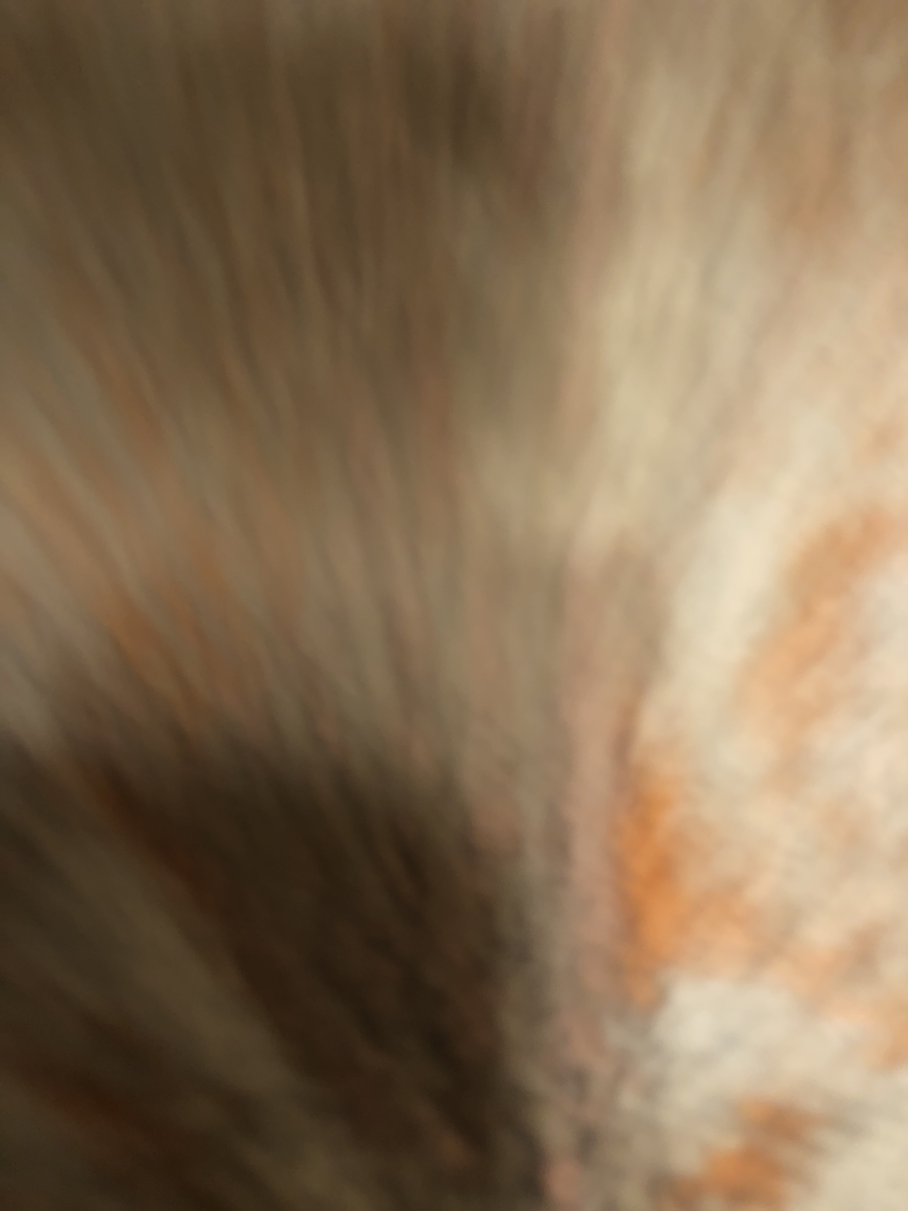 50439603_2024-11-10_111714-500x500