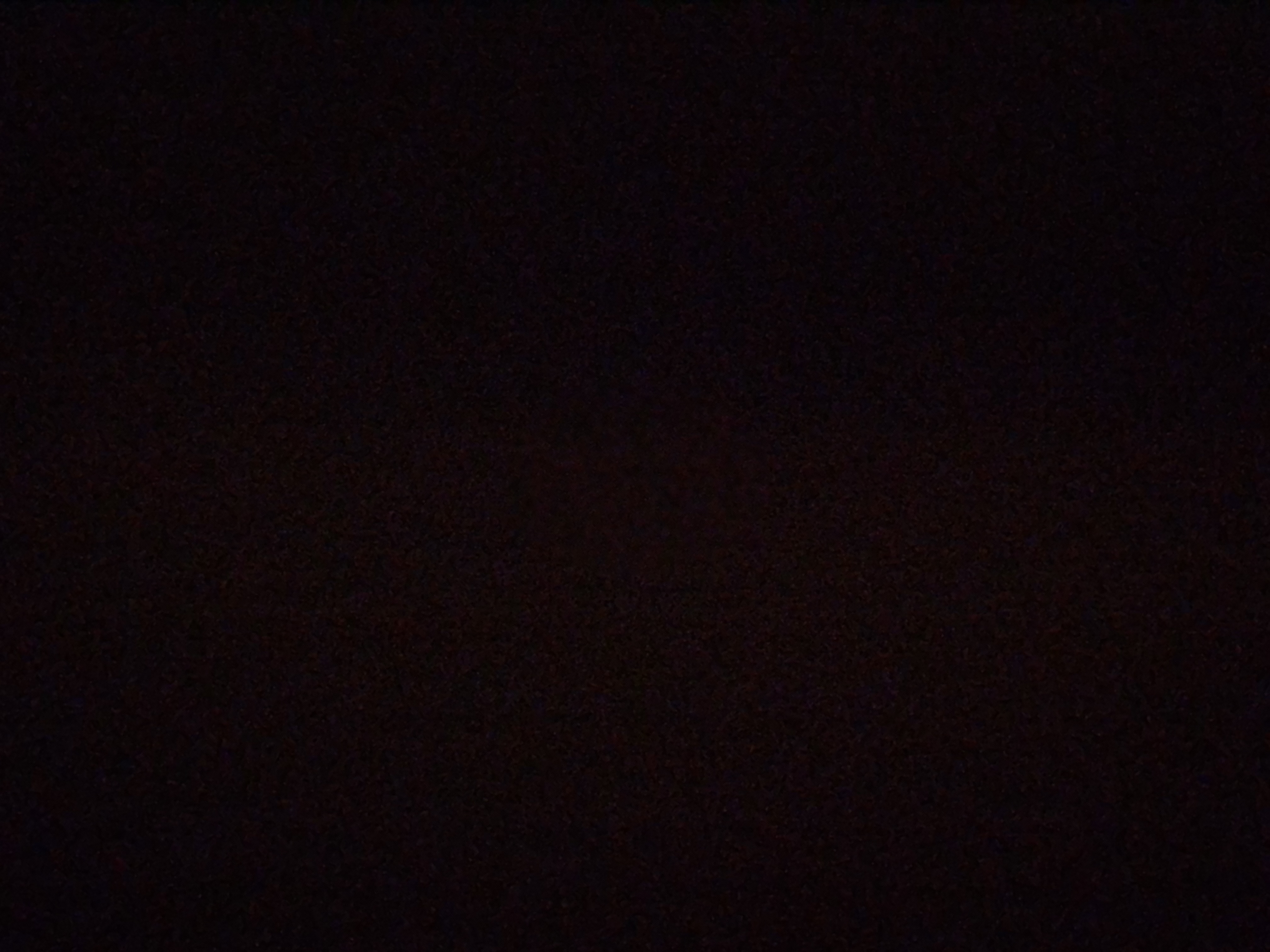 50655802_2025-04-08_115833-500x500