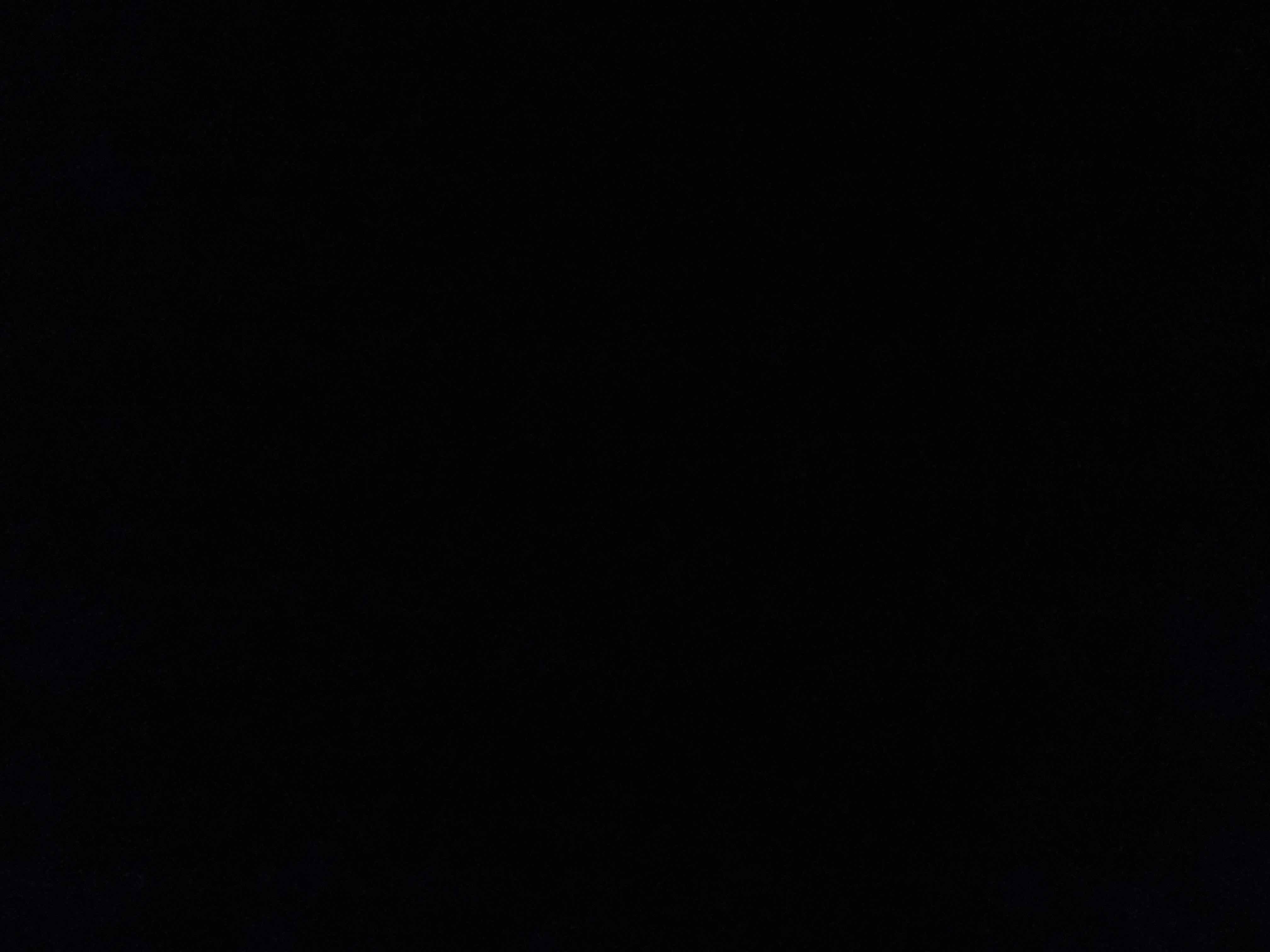 51061572_2024-07-22_033412-500x500