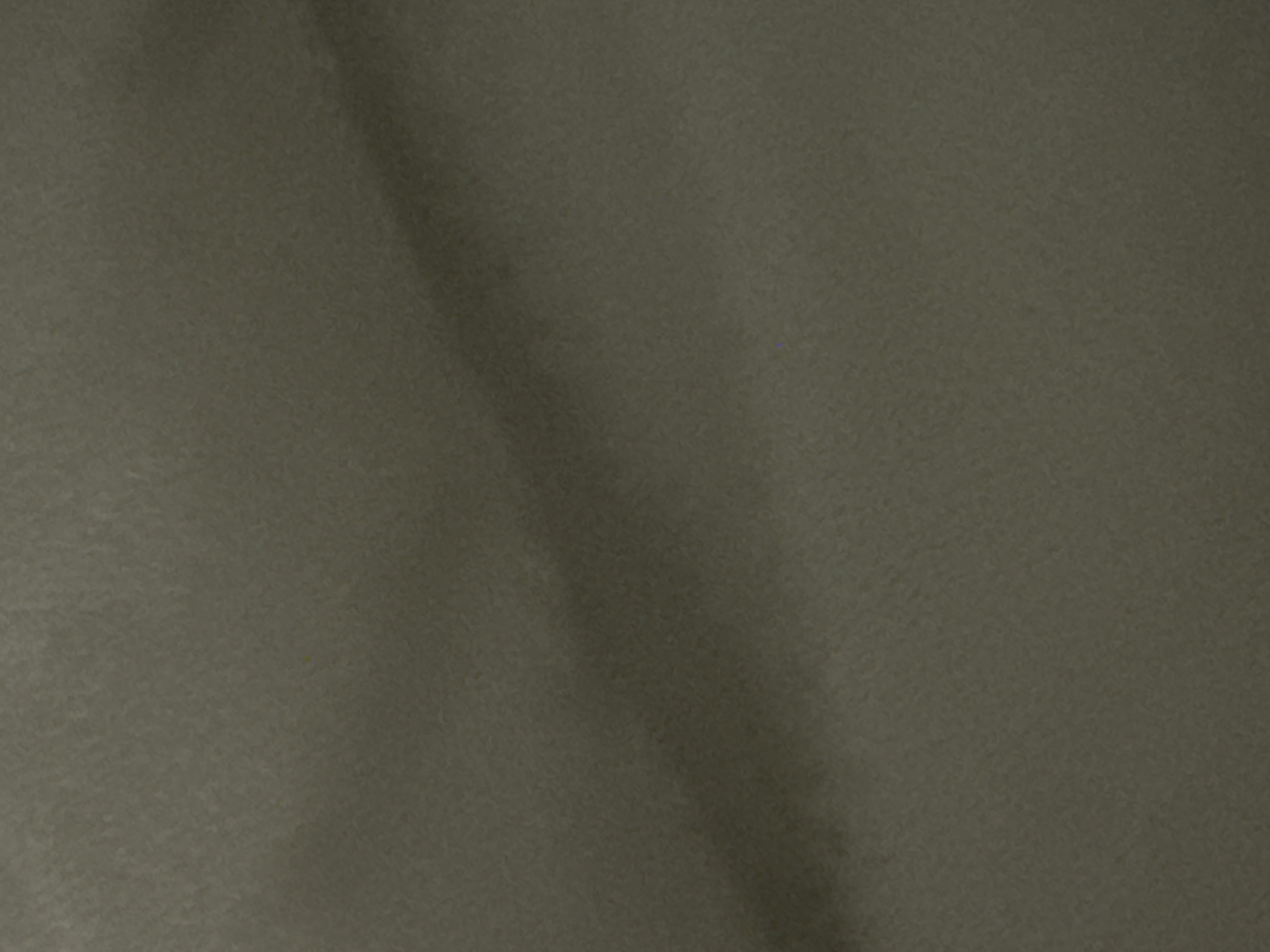 52507614_2026-08-13_033450-500x500