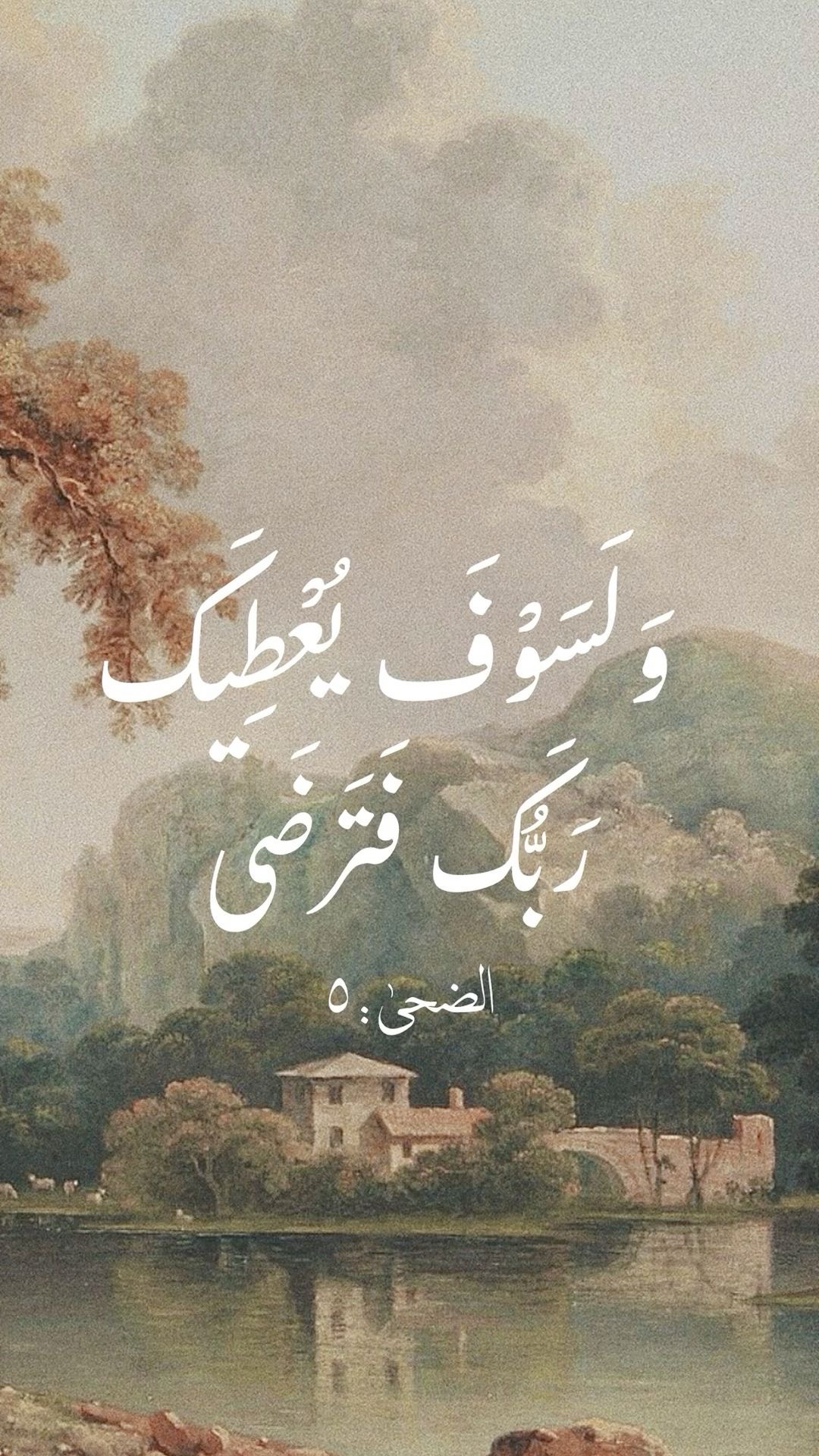 52876658_--_-500x500