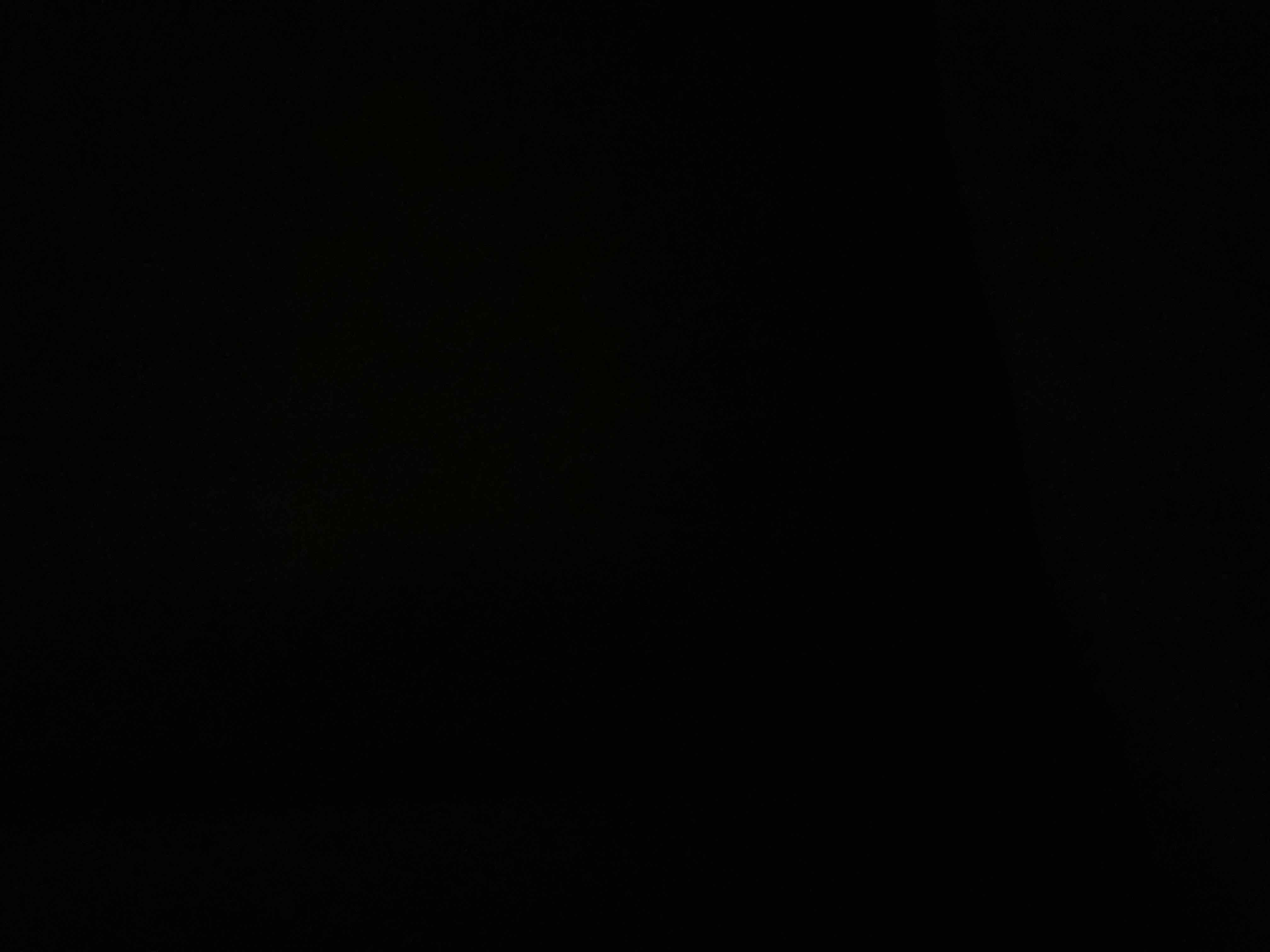 53260883_2025-09-15_014238-500x500