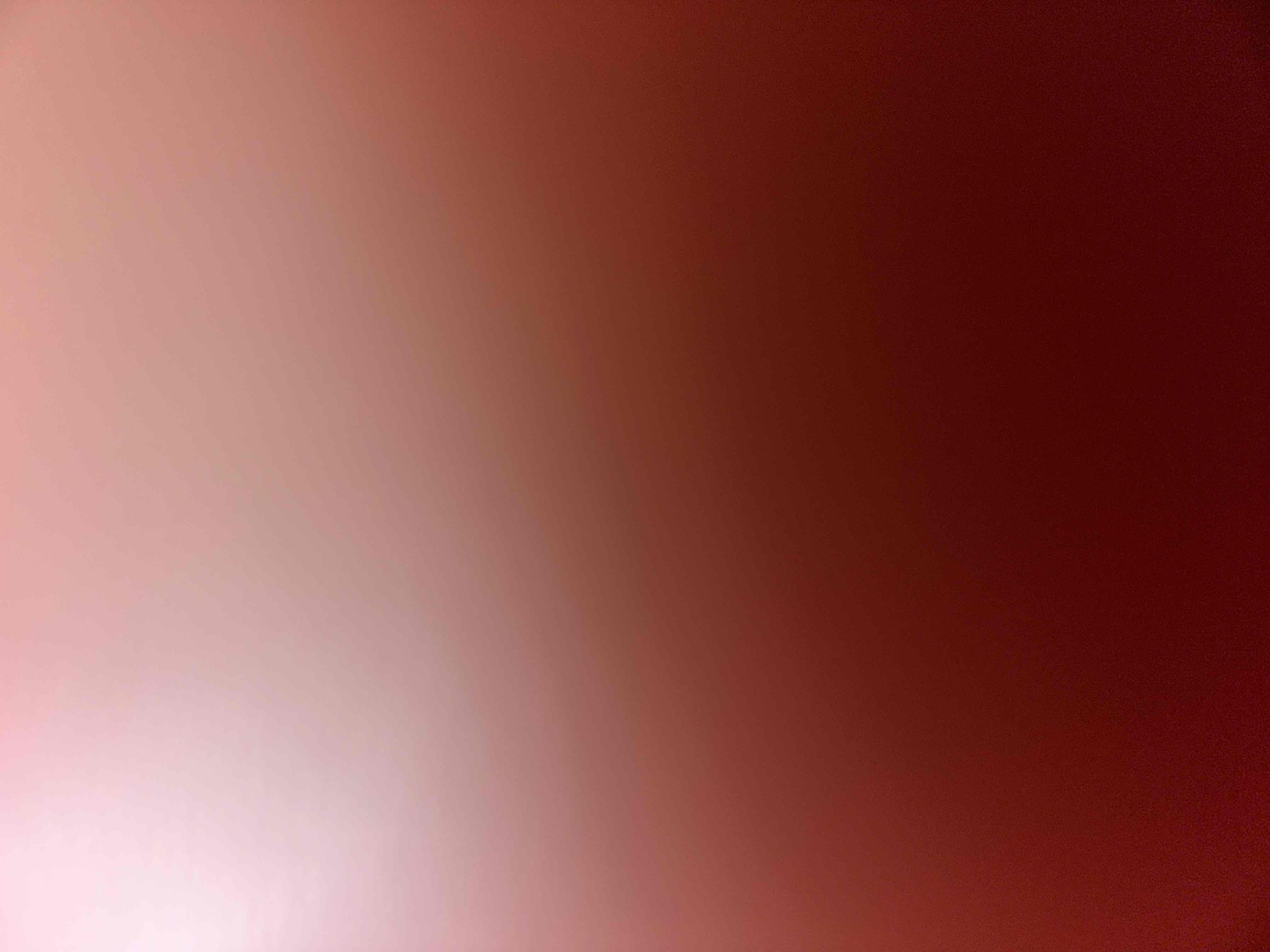 53903101_2024-07-16_012036-500x500