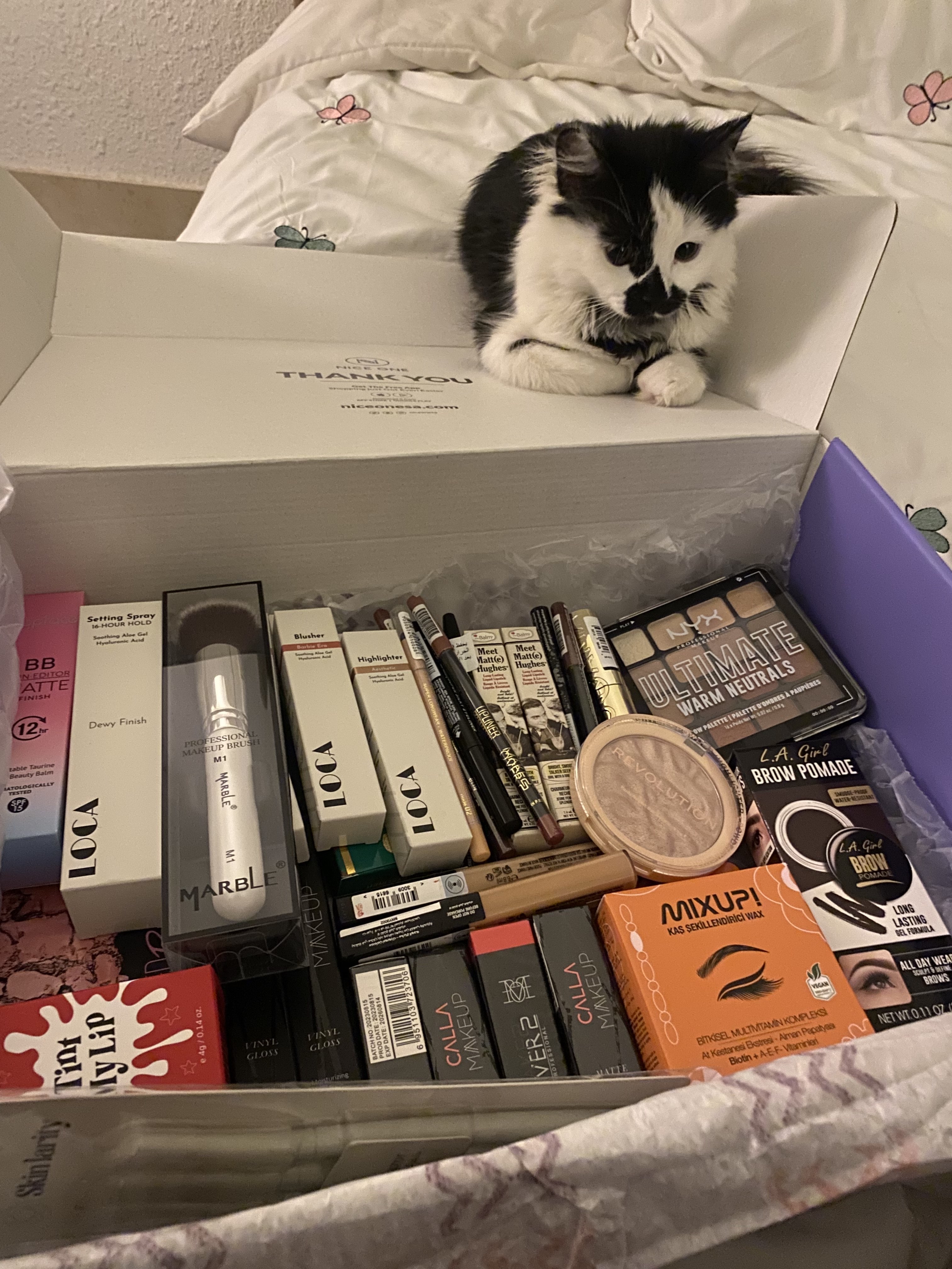 61758816_2024-12-31_024605-500x500