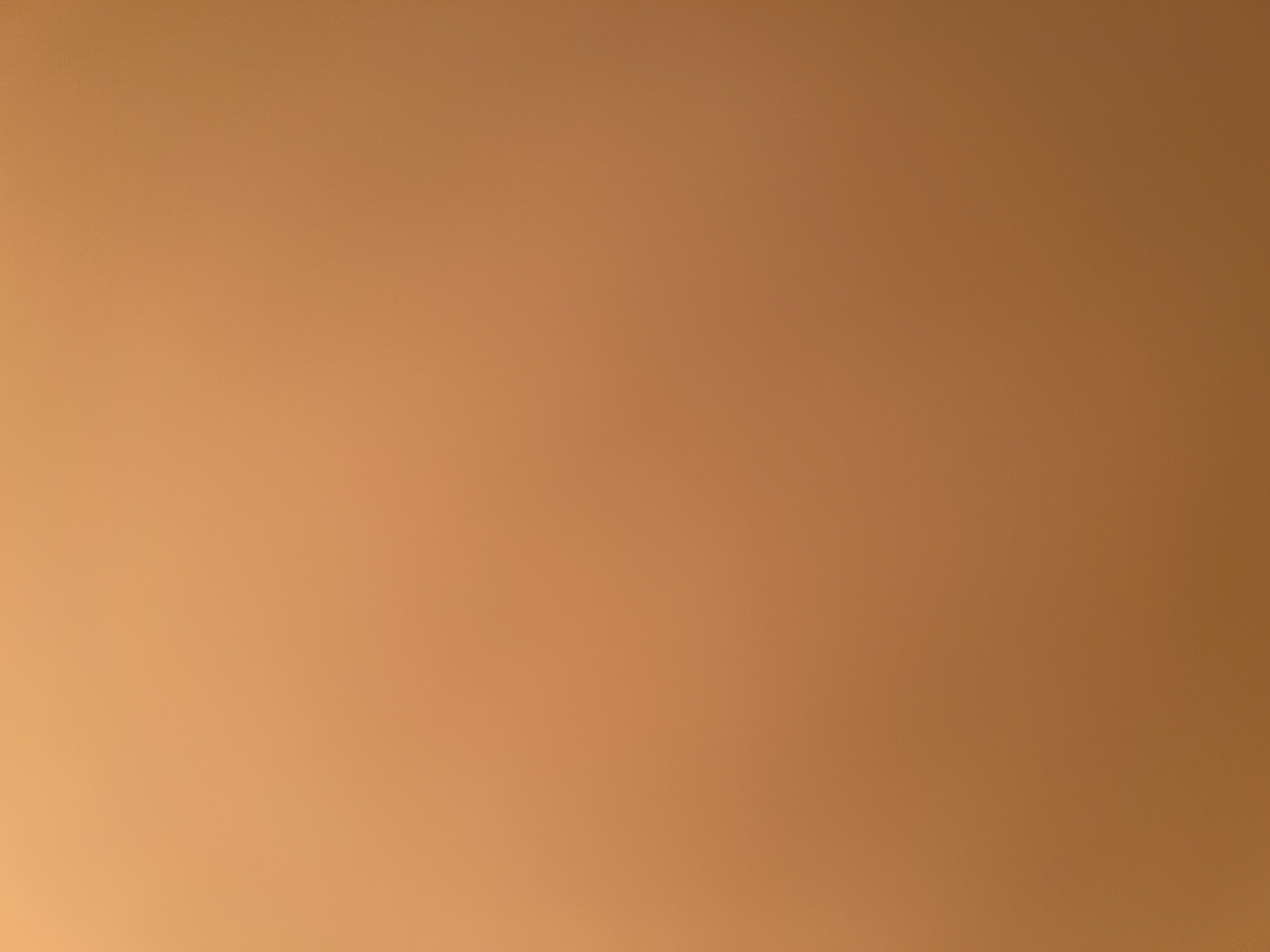 62219730_--_-500x500