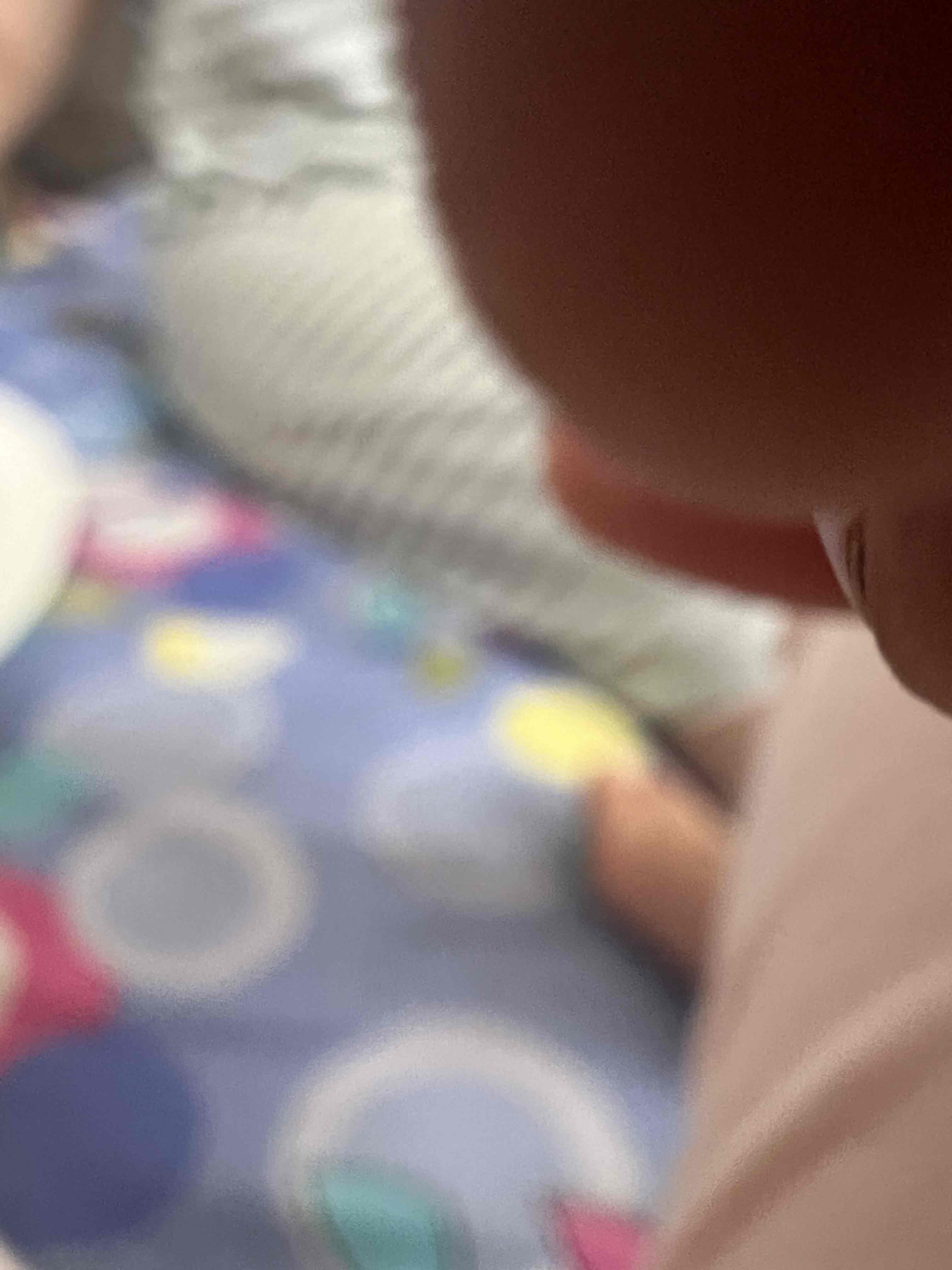 63874876_2025-04-29_084456-500x500