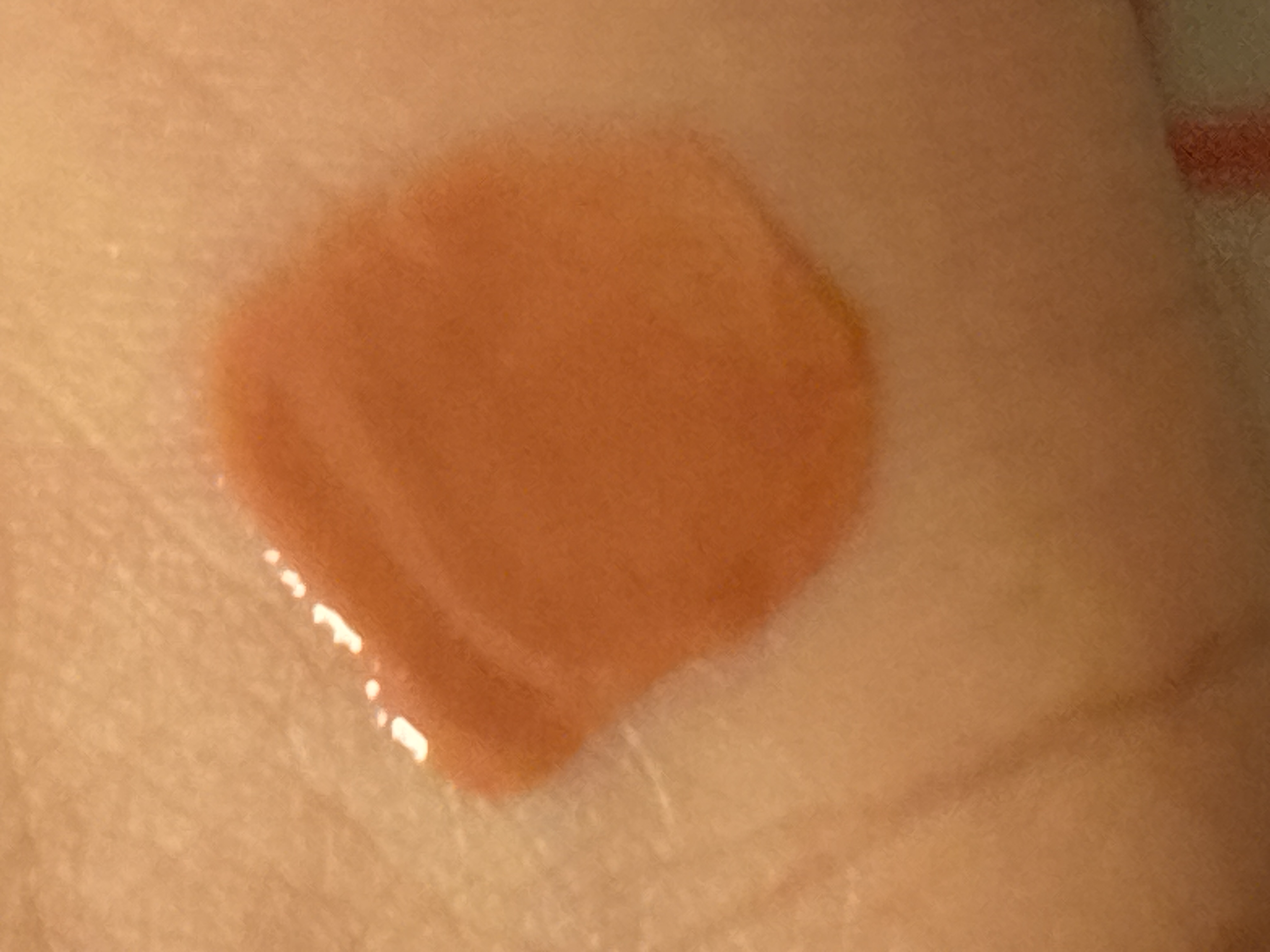 63925165_1446-06-03_102857-500x500