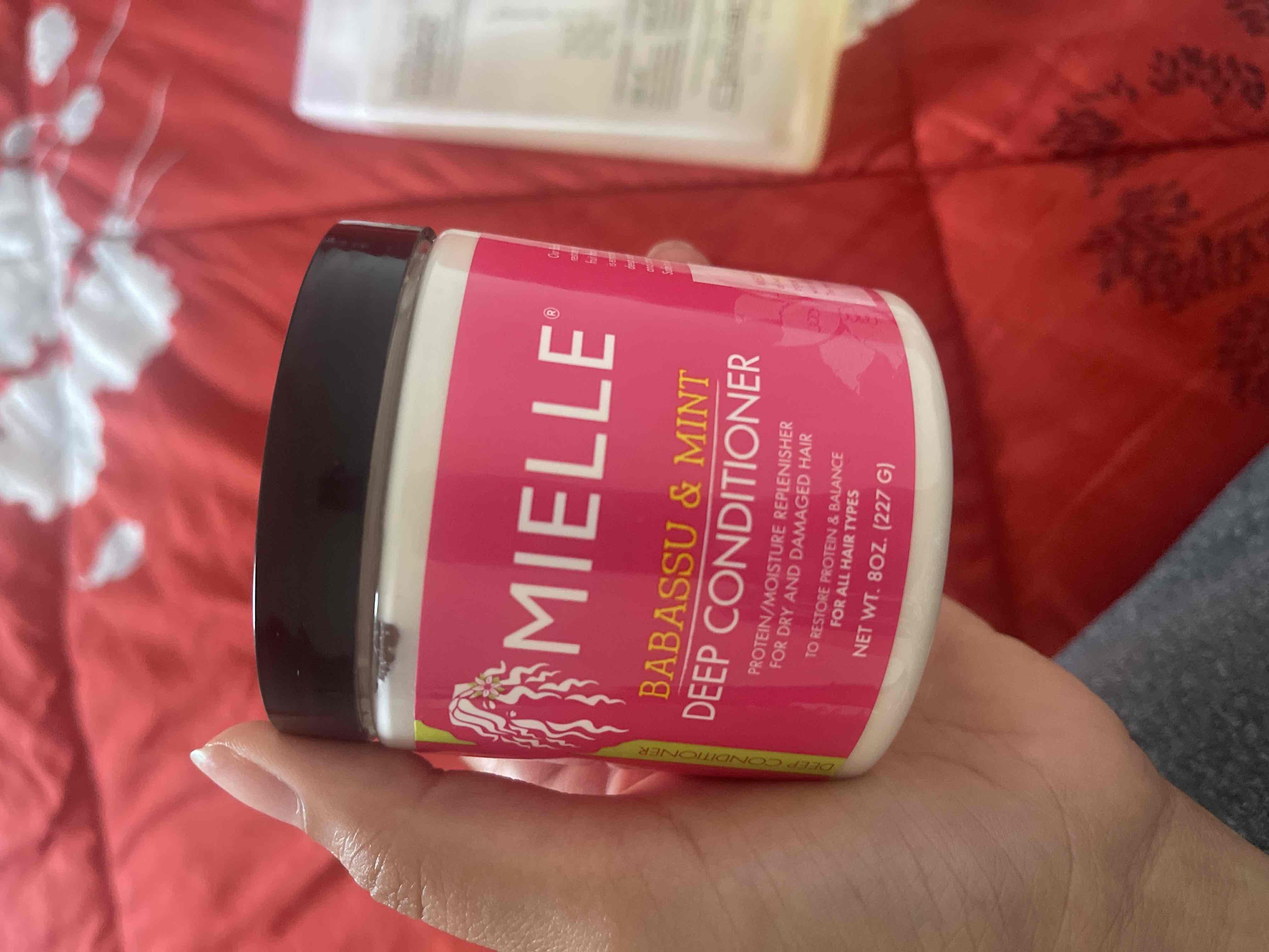 65135897_2024-04-02_023454-500x500