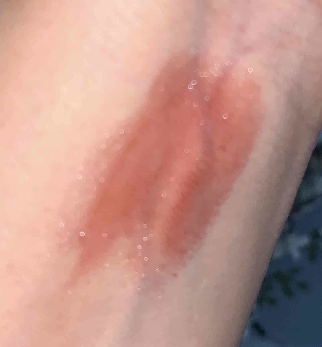 6929419_2024-12-05_072612-500x500