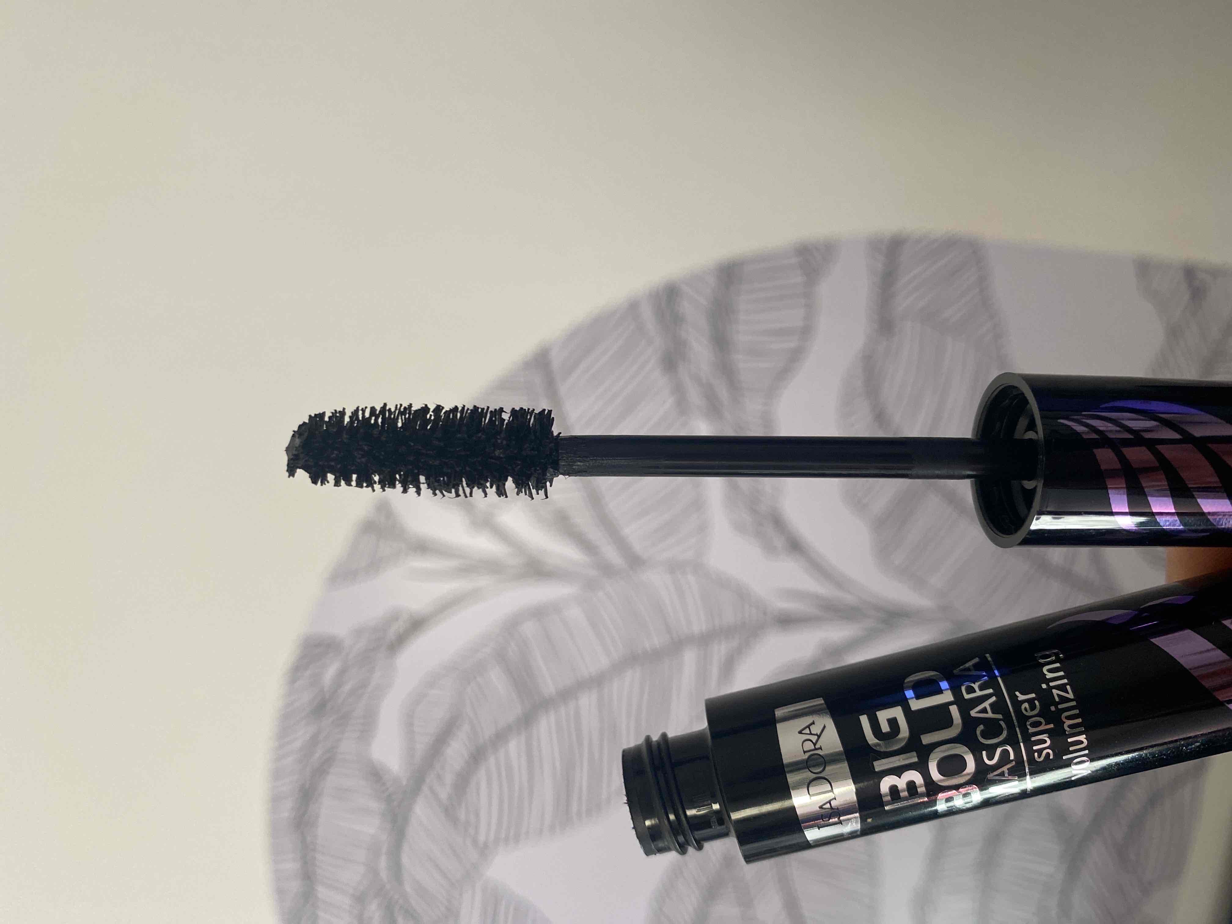 72359840_2025-01-04_022006-500x500