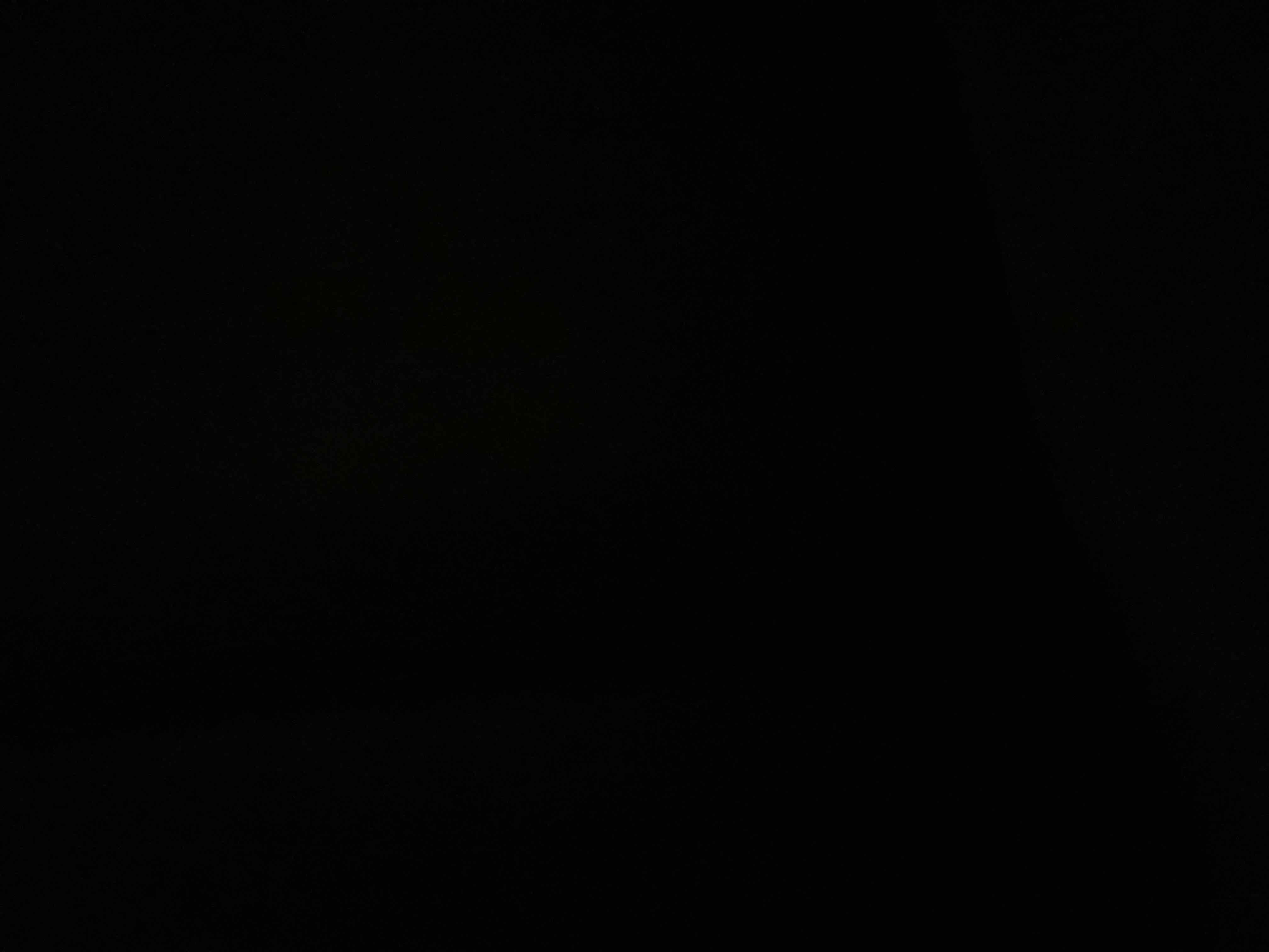 74049260_2025-09-15_014345-500x500