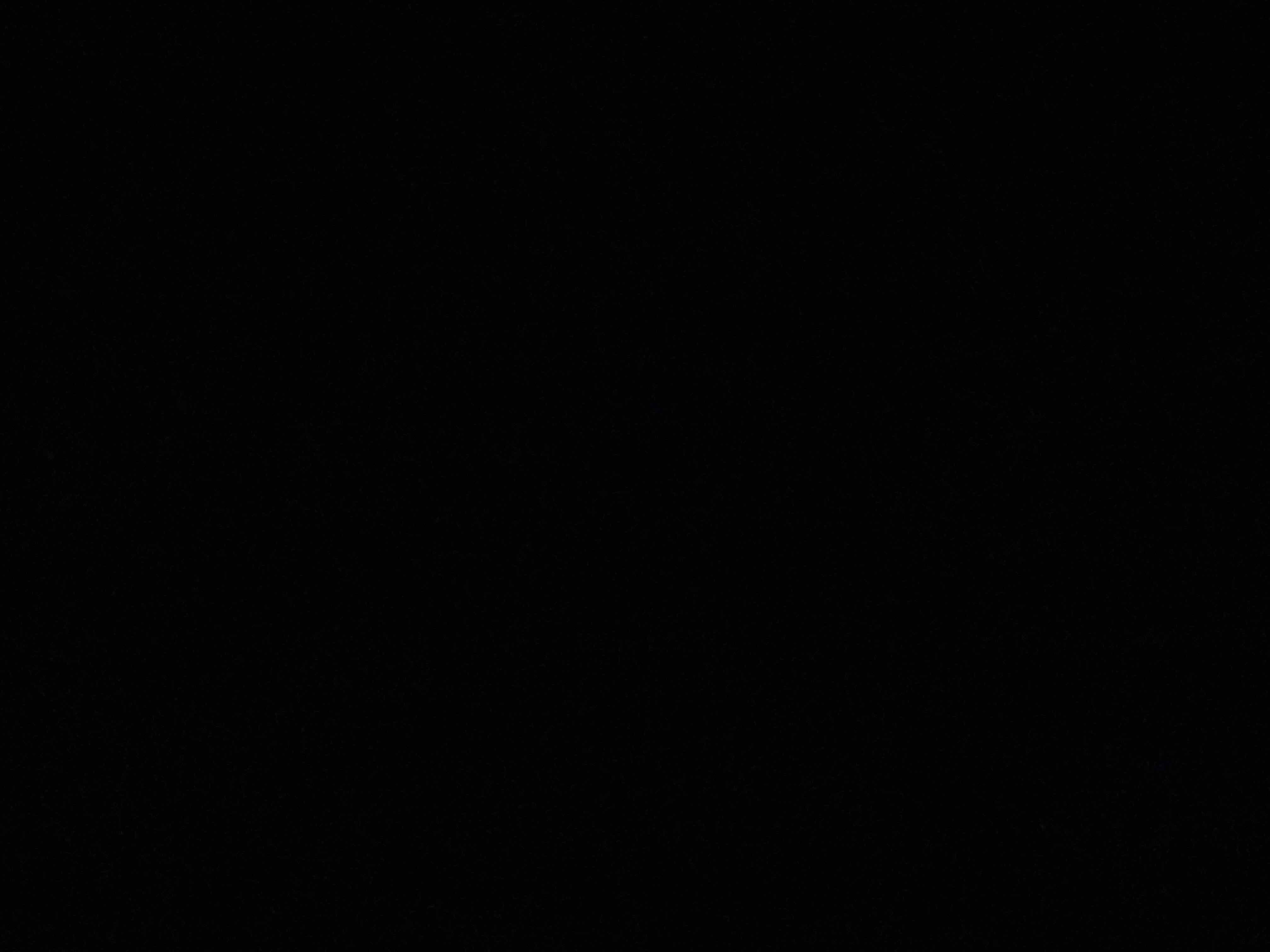 79199127_2024-08-28_074750-500x500