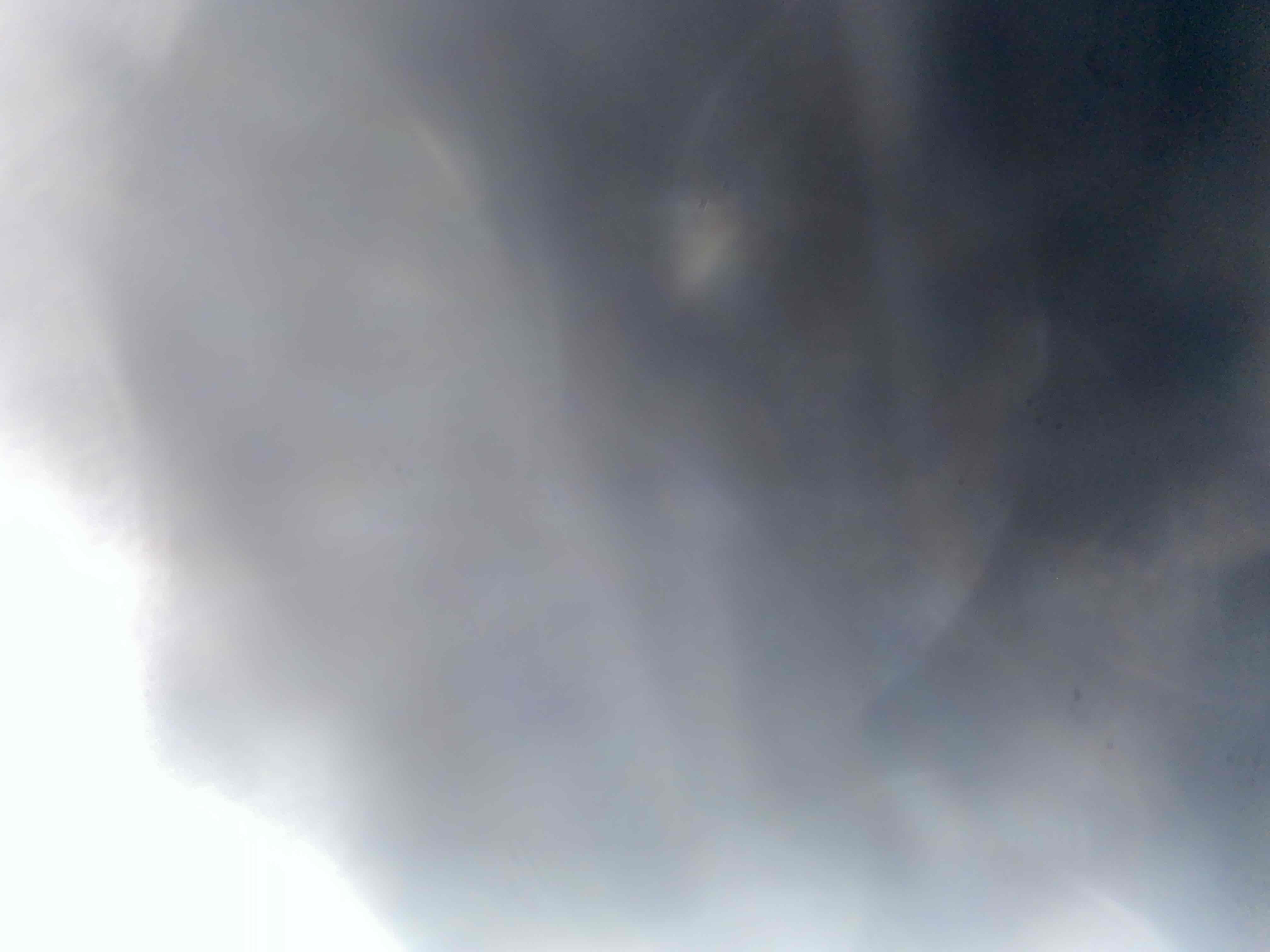 83159452_2024-08-03_082837-500x500