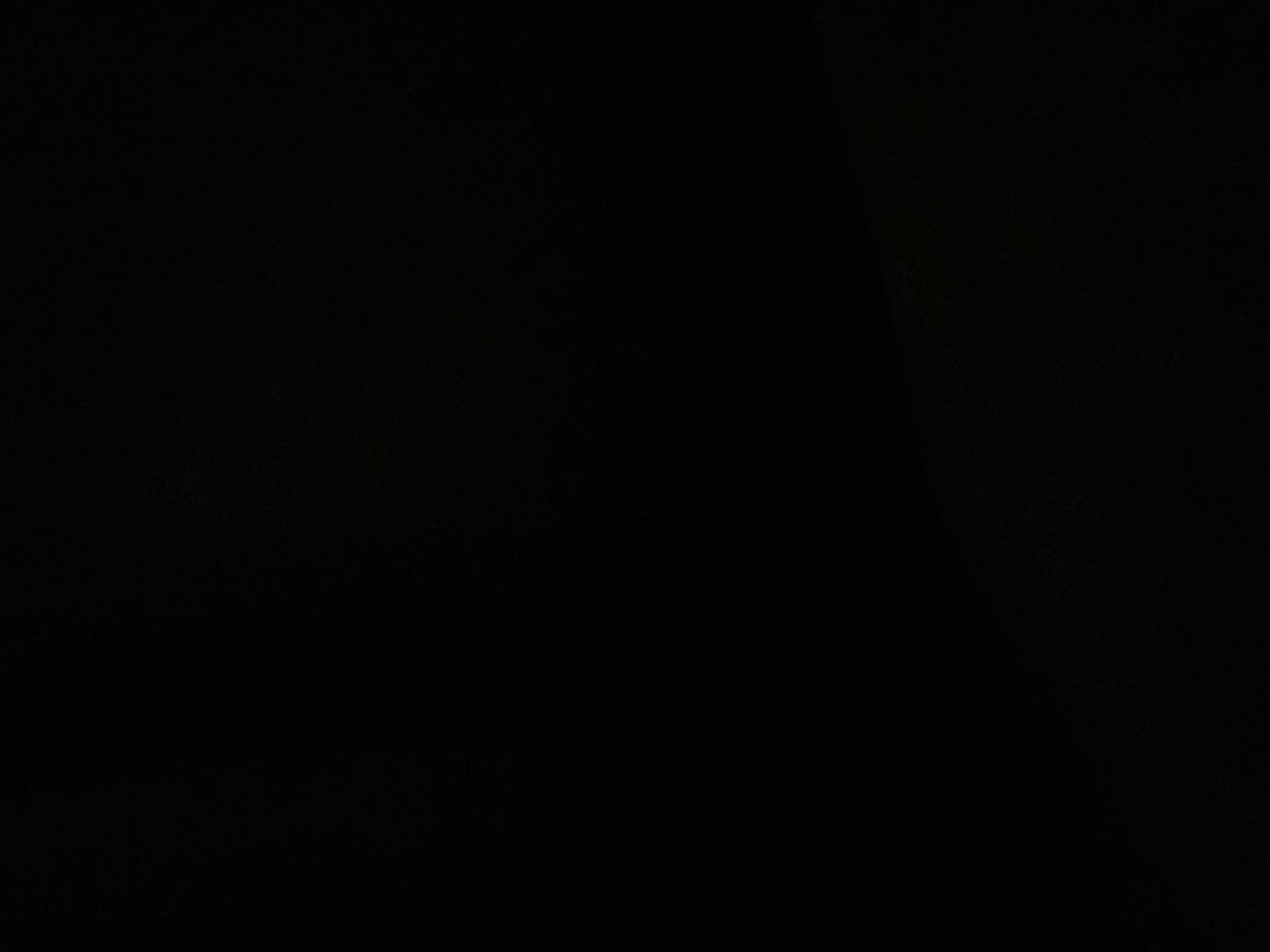 8397083_2025-09-15_014457-500x500