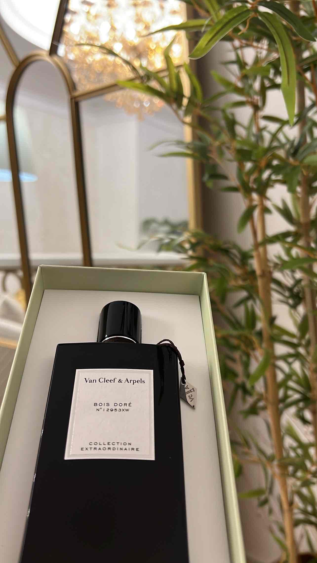 84333777_2024-11-04_102243-500x500