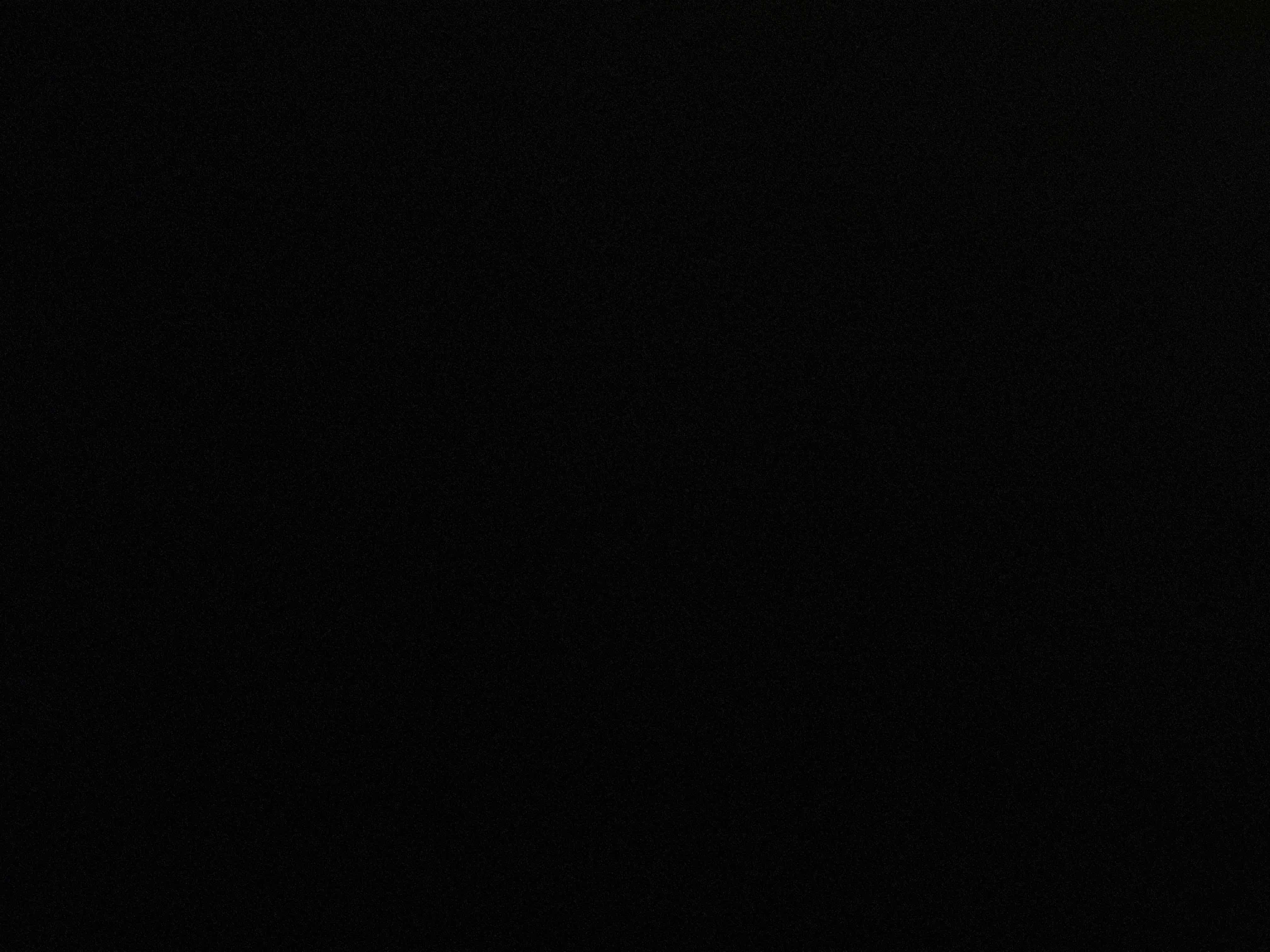 8794497_2024-07-29_024117-500x500