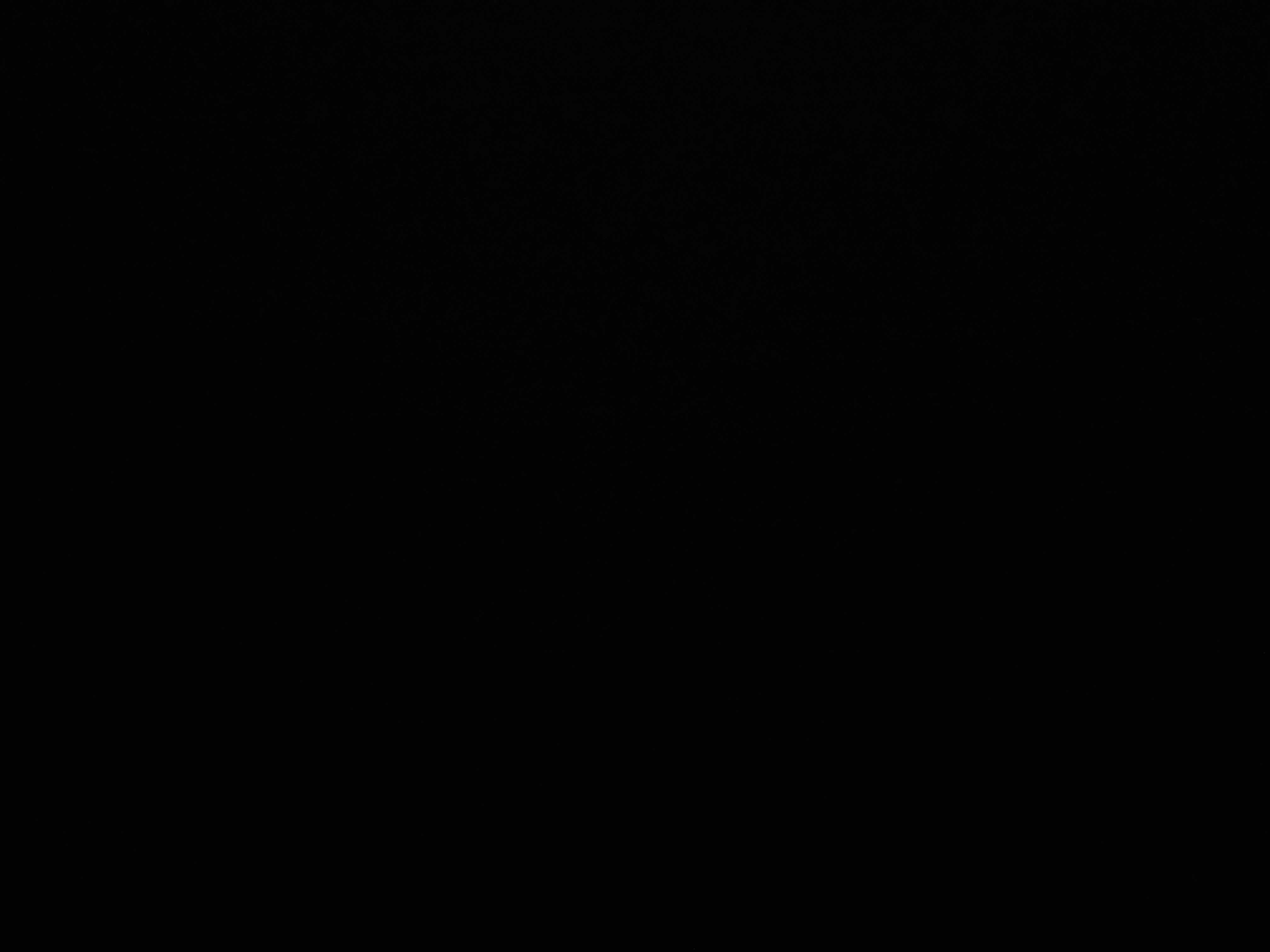 91339992_2024-06-13_115426-500x500