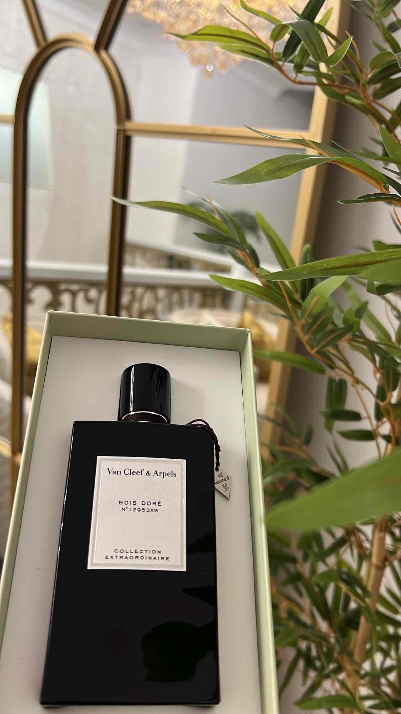 93719253_2024-11-04_102243-500x500