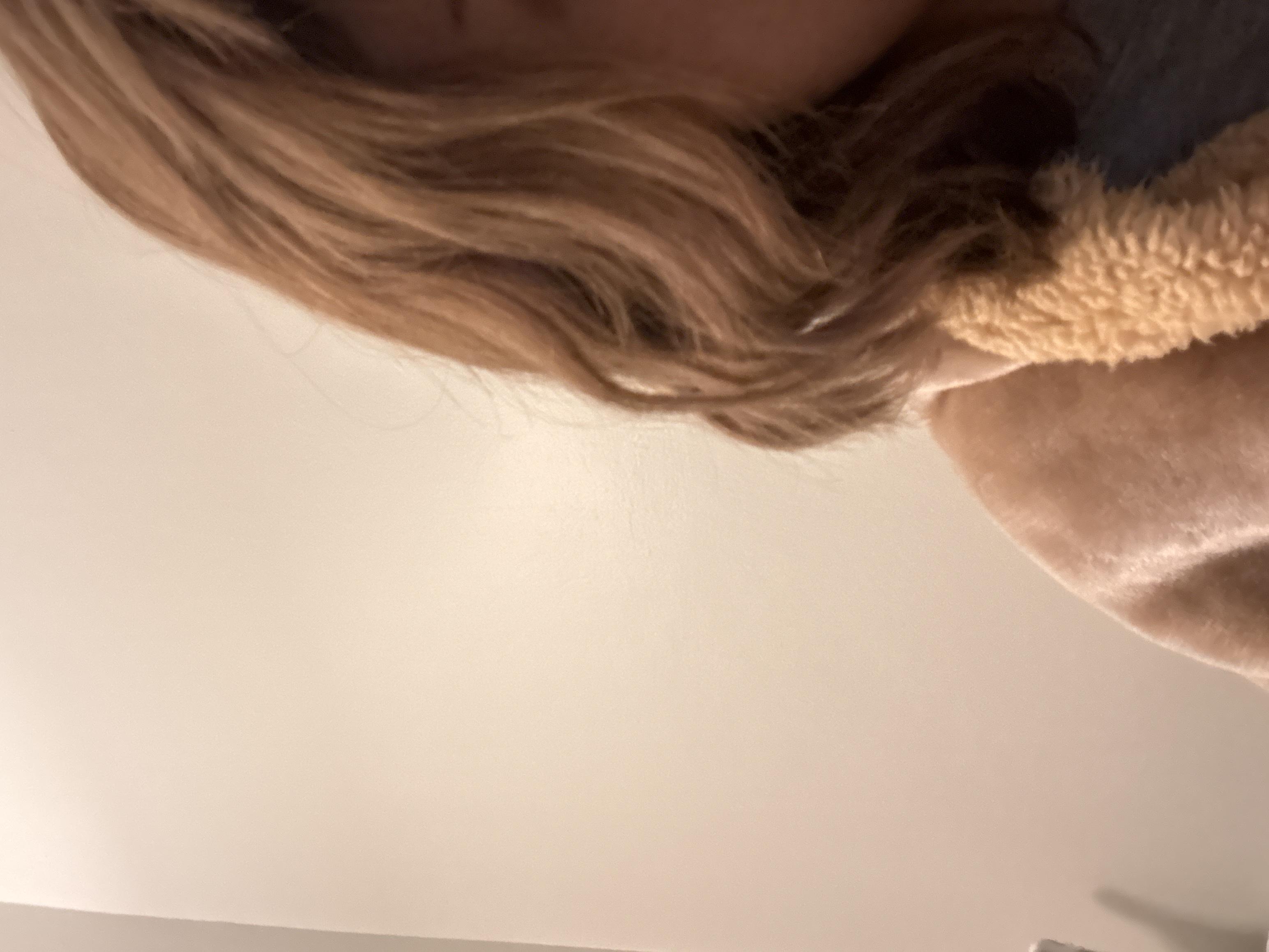 95047847_2024-02-13_031719-500x500